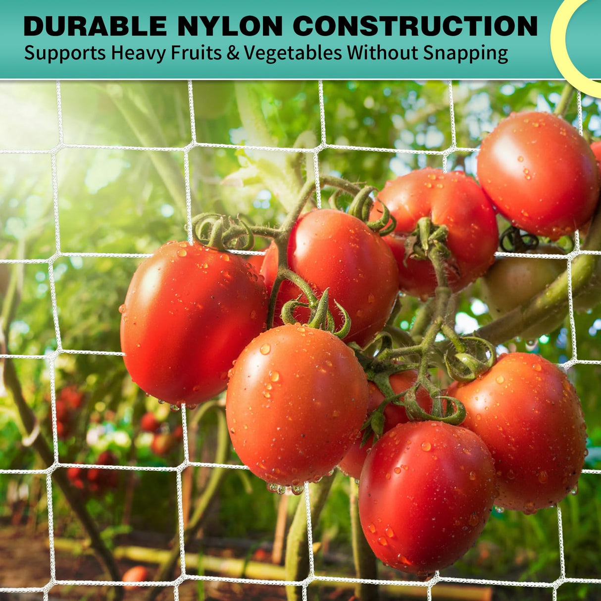 DOLEMODUO 7X 60 Ft Nylon Trellis Netting, 6×6 Heavy Duty Trellis Mesh Garden Netting for Climbing Plants, Use for Tomatoes, Cucumbers, Peas, Grape Racks