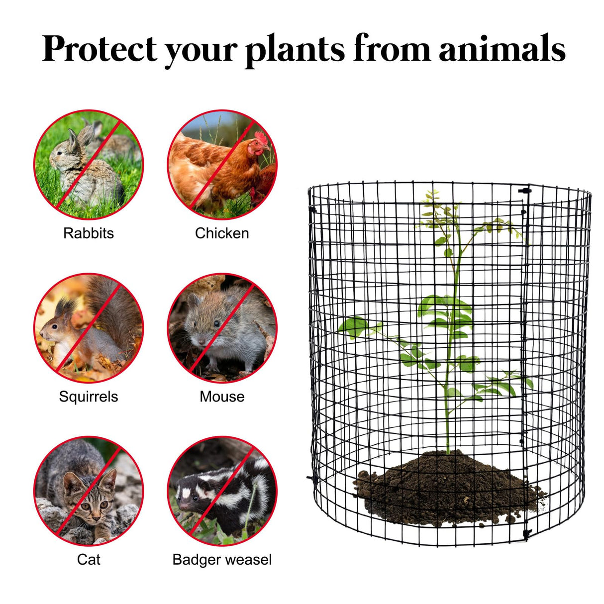 10 Pack Round Plant Protector from Animals, 12'' x 12'' Metal Plant Cages,30Pcs Metal Mesh to Keep Animals Out, Garden Protection Bunny Barricades, Wire Plant Protectors for Rabbits Chicken Duck