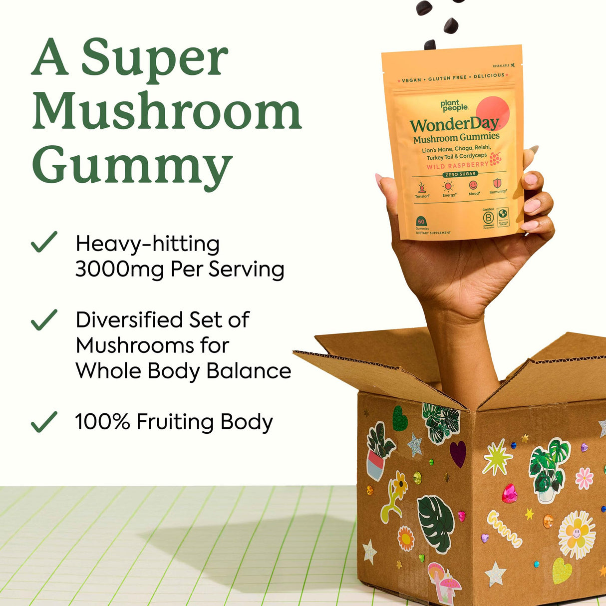 Plant People WonderDay Mushroom Gummies - Lion’s Mane, Cordyceps, Chaga Mushroom Supplement to Support Immune System De-Stress Boost Mood & Energy in Adults Natural, Vegan, Non-GMO (60 Count)