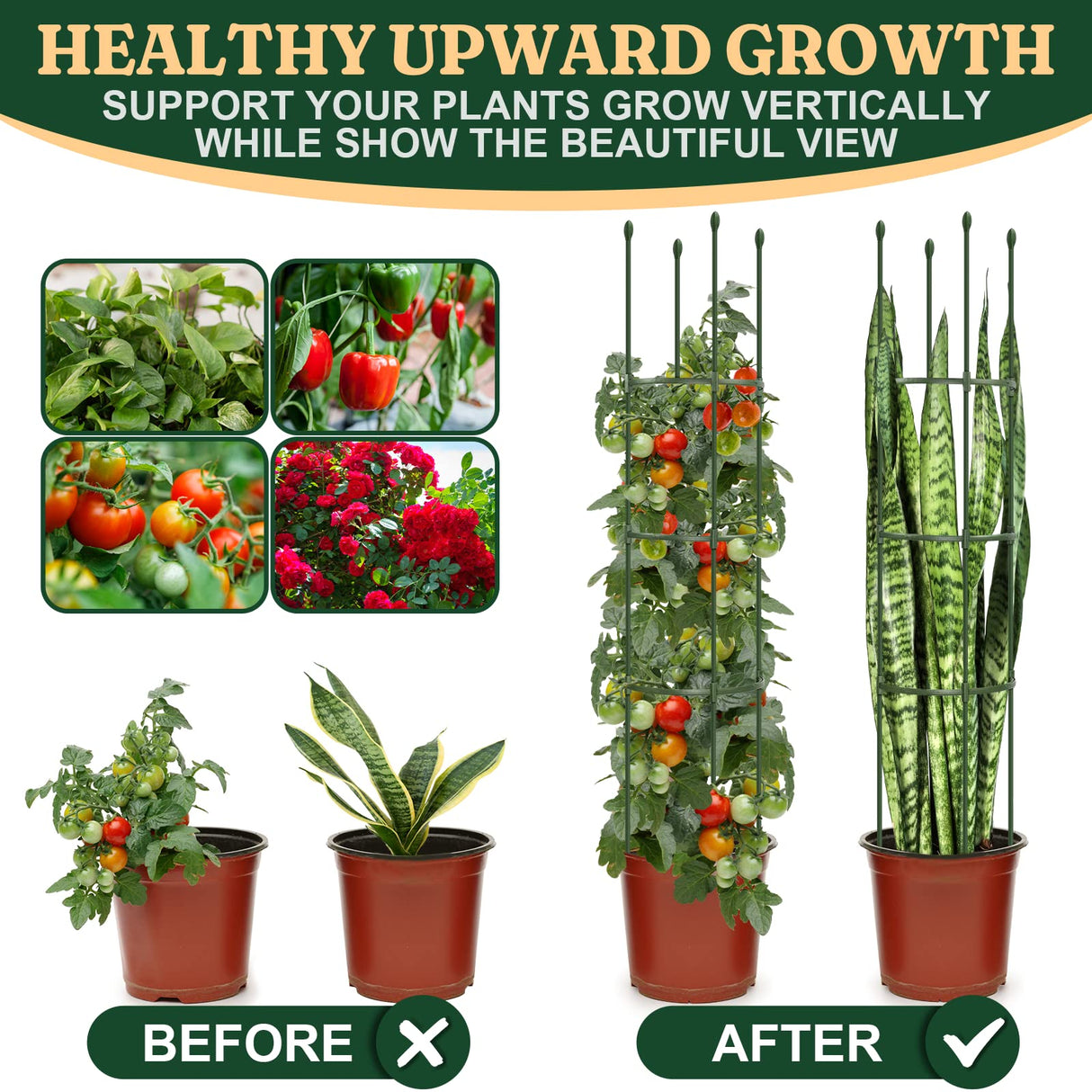 Round Heavy Duty Tomato Cage - 55 Inch Steel Core Plastic Coated Garden Trellis, 4-Post Rustproof Plant Support for Tomato/Cucumber/Beans, No Tools Snap Assembly, Spare Parts Available 1PS