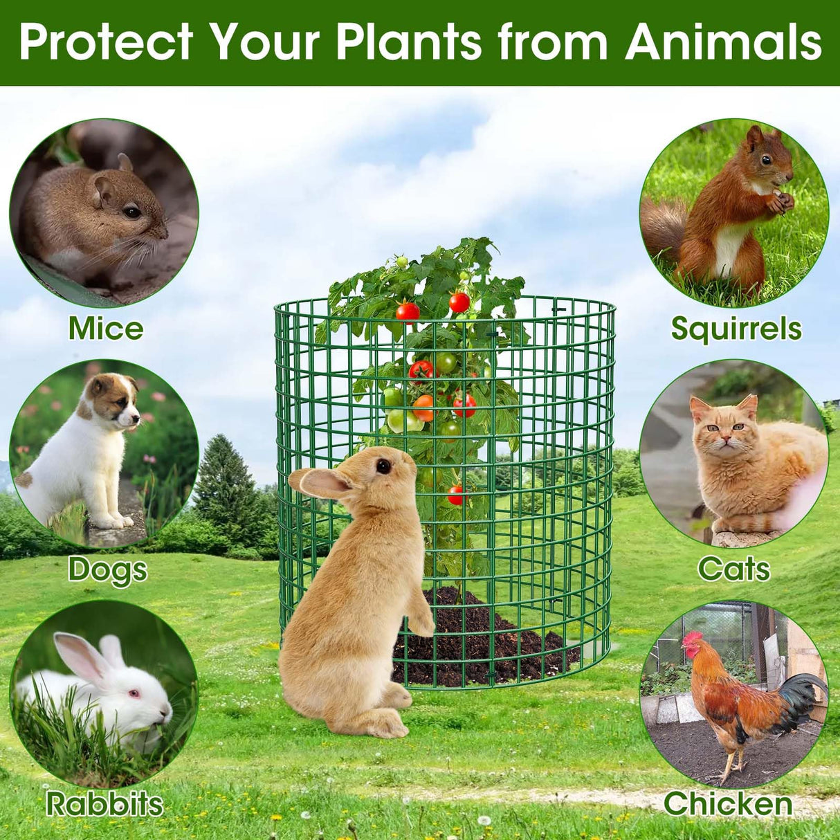 10 Pack Plant Protectors from Animals | 30PCS 13"x13" Metal Wire Mesh Garden Plant Cages for Gardening Supplies | Chicken Wire Cloche Plant Protectors for Rabbits Chickens Ducks