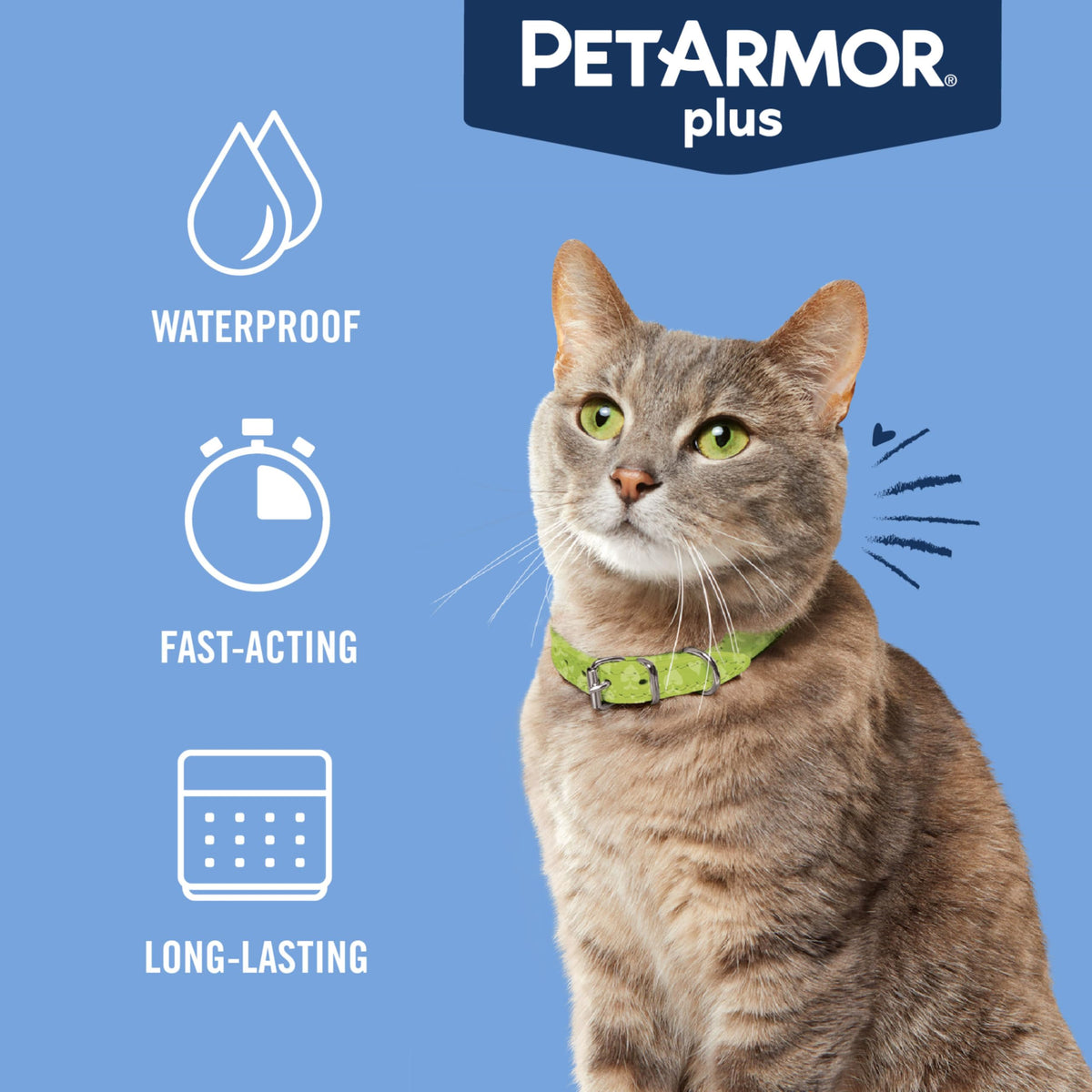 PetArmor Plus Flea & Tick Topical Cats 1.5 lbs+, 6-Month