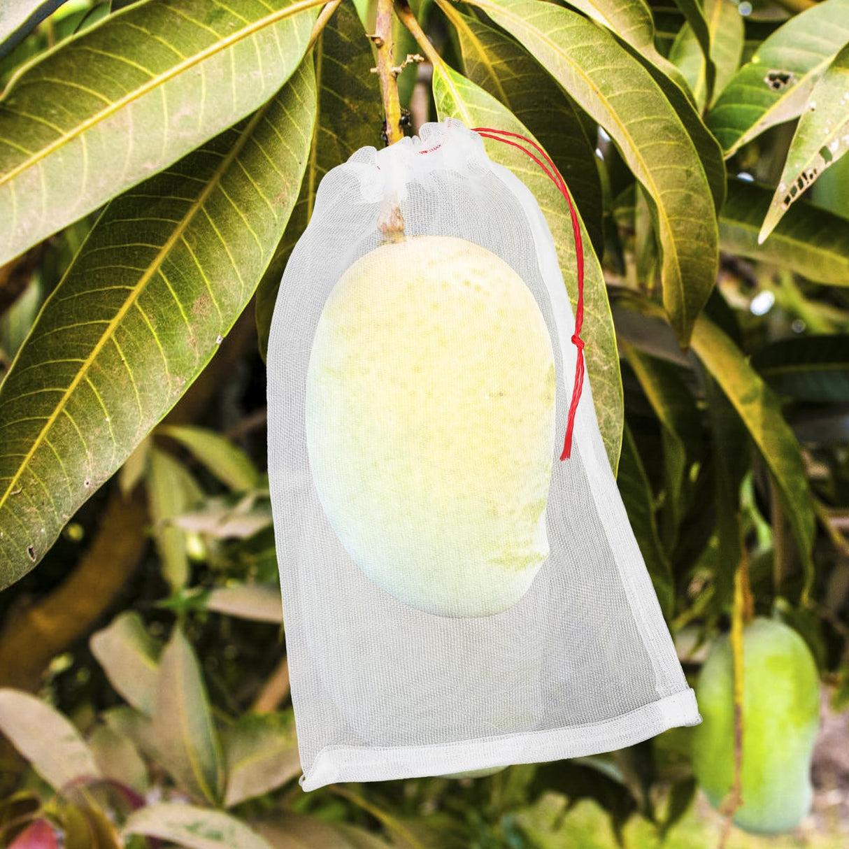 ENPOINT Fruit Bags for Fruit Trees, 100 PCS 6x10 Inch Fruit Protection Bags with Drawstring, Garden Netting Mesh Fruit Cover Bag for Grape, Tomato, Peach, Apple, Flower from Birds Bugs