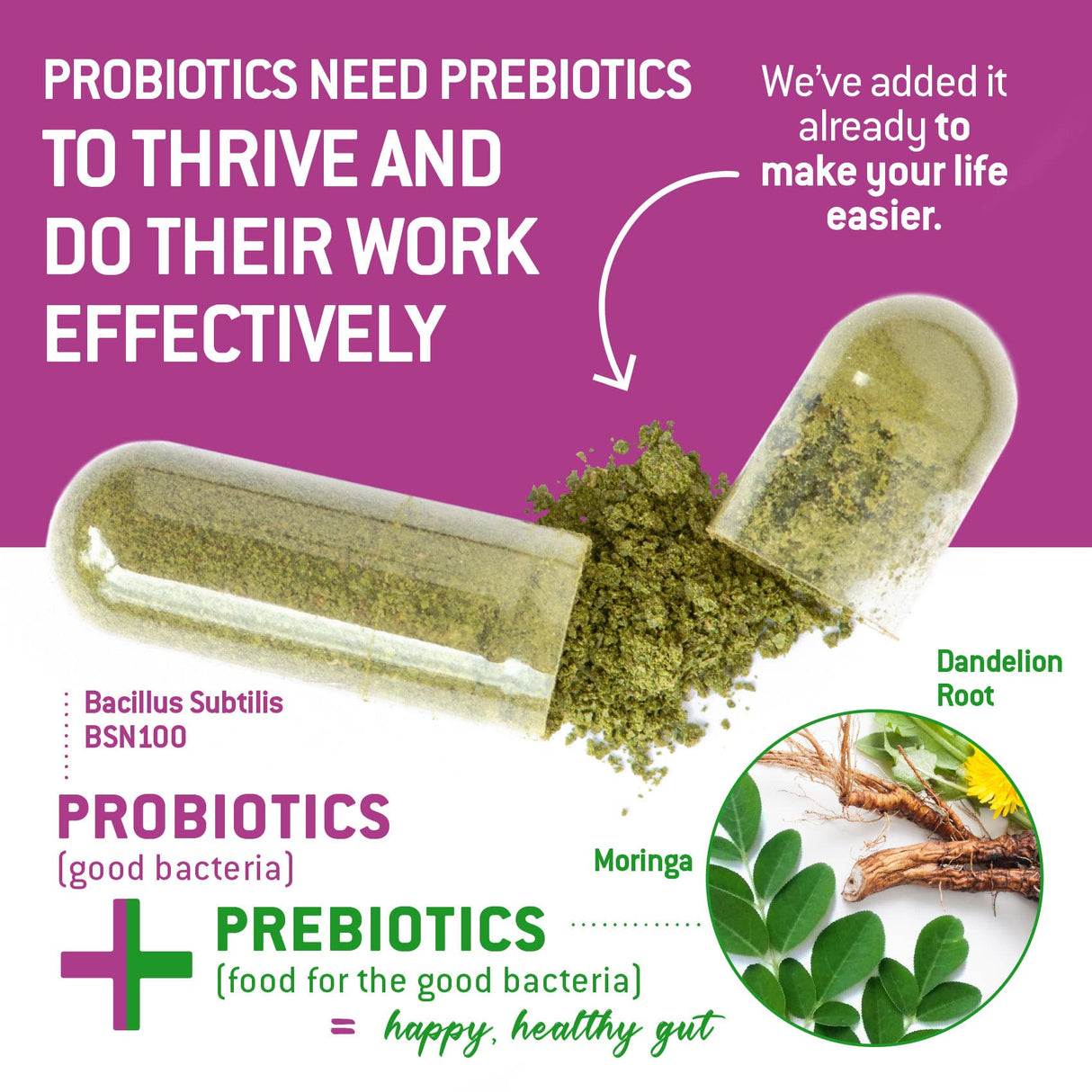 Bacillus Subtilis Spore Based Probiotic — High Potency Strain with Prebiotic for Balanced Belly | Daily Gut Health & Microbiome Support for Family | 6 Billion CFU Per Day | 180 Vegetarian Capsules
