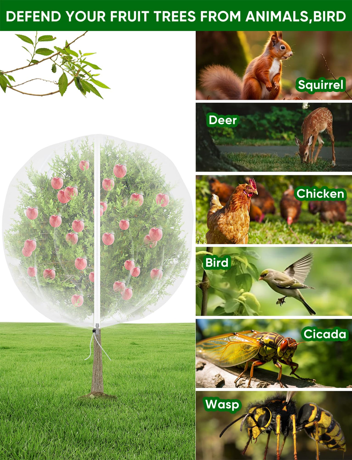 VITI Large Fruit Trees Netting Zipper - 2Pcs 10X10 FT with Drawstring Bird-Proof,Durable Mesh Covers for Blueberry,Apple,Pear,Peach,Orange Trees&Tomato Plants Bug Insect Protection Cover (2,10X10 FT)