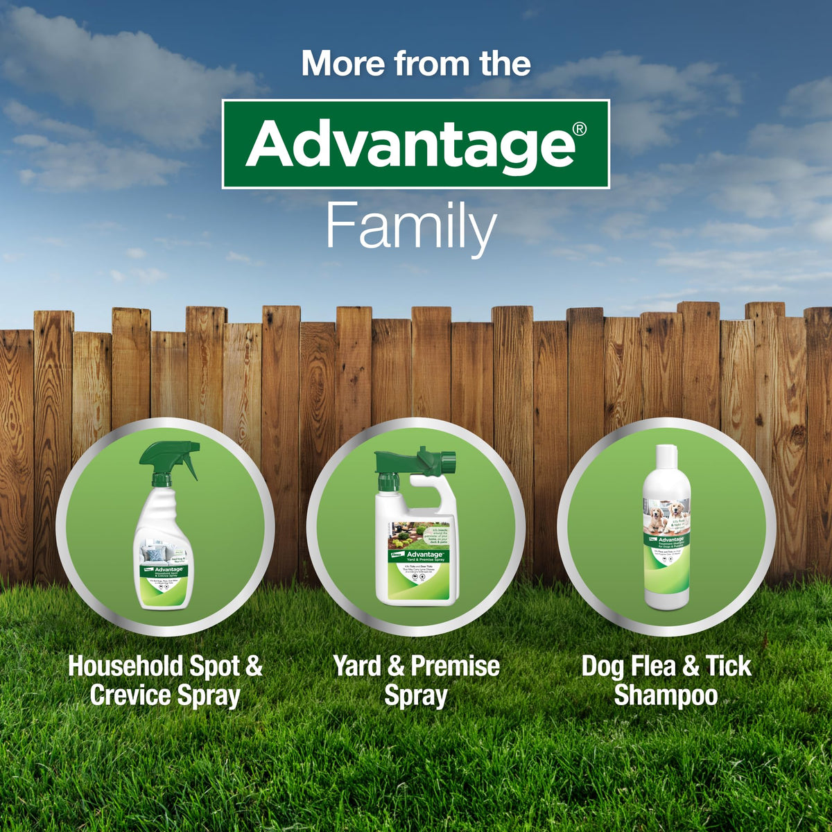 K9 Advantix II XL Dog Vet-Recommended Flea, Tick & Mosquito Treatment & Prevention | Dogs Over 55 lbs. | 2-Mo Supply