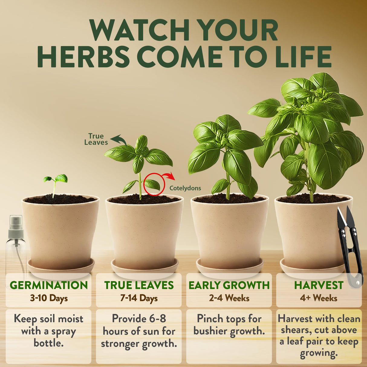 HOME GROWN Herb Garden Planter Indoor Kit – Unique Christmas Gift for Adults, Men, & Women - Grow 4 Heirloom Herb Seeds on Kitchen Window – Beginner DIY Craft & Hobby Gardening Gift for Plant Lovers