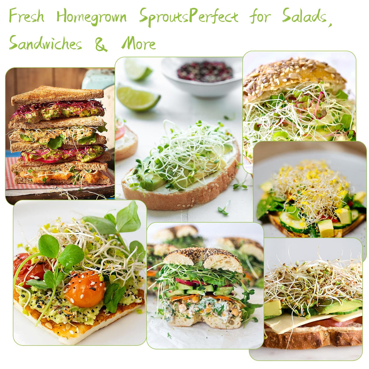 Seed Sprouting Kit - 2×32 Oz Wide-Mouth Mason Jars with Sprouter Lids, Stand, Sprout Tray & Light Shield, for Broccoli, Alfalfa, Mung Beans & Microgreens (Yellow + Green)