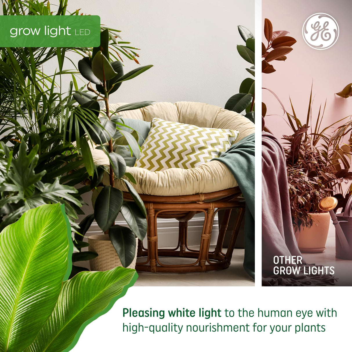GE Grow LED Light Bulb for Plants Seeds and Greens, Balanced Light Spectrum, A19 (2 Pack)
