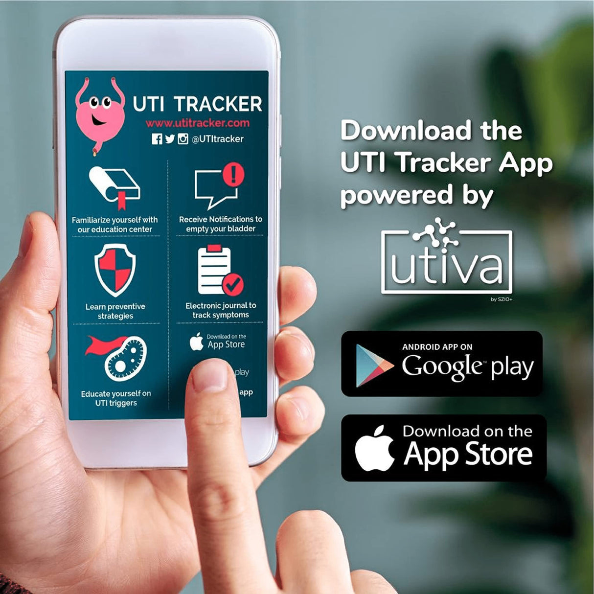 Szio+ Utiva Probiotic – Urinary Tract and Gut Health Supplement – 12 Billion CFU Lactobacillus & Bifidobacterium Probiotic for Men and Women, 30 Delayed Release Vegi Capsules