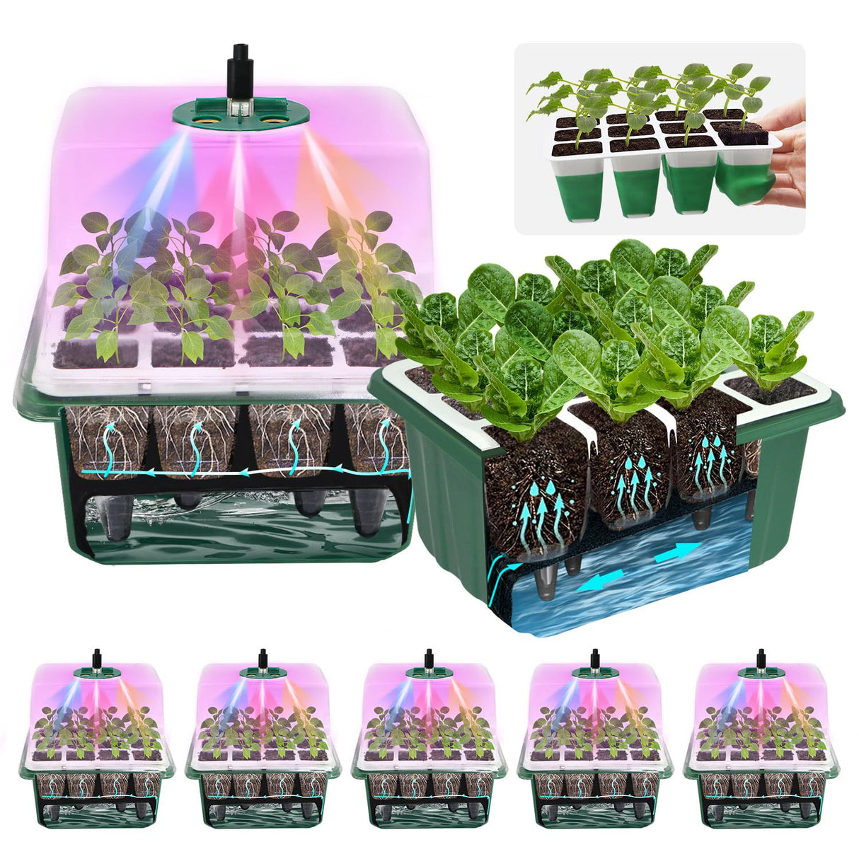 5PCS 60 Cell Self Watering Seed Starter Tray with Grow Light, Reusable Silicone Seed Starter Kit with Humidity Dome, 60 Cells Plant Germination Trays for Seeding Planting Growing(5-Pack 60-Cell)