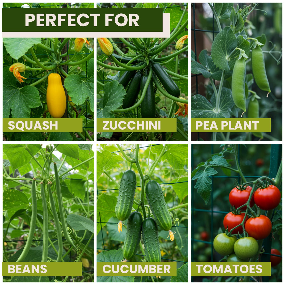50x50 Cucumber Trellis for Raised Bed - A Frame Garden Trellis for Climbing Plants Outdoor - Cucumbers, Pea, Zucchini, Squash,Tomato, Green Bean, Vine, Watermelon, Melon, Pumpkin