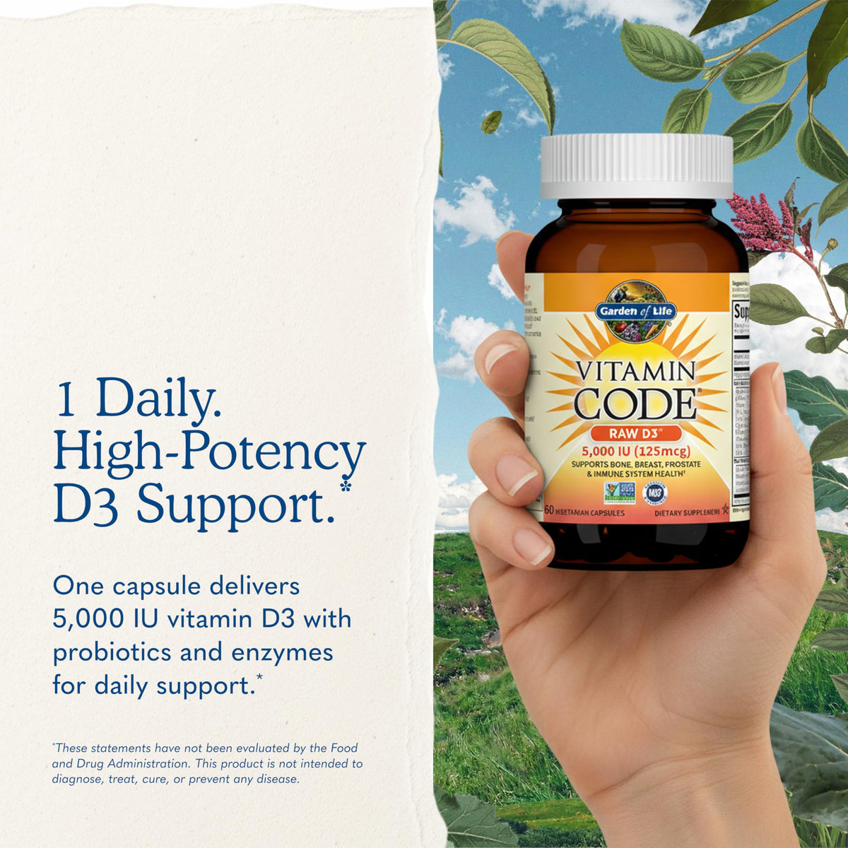 Garden of Life Vitamin Code Raw D3 5000 IU, 60 Vegetarian Capsules