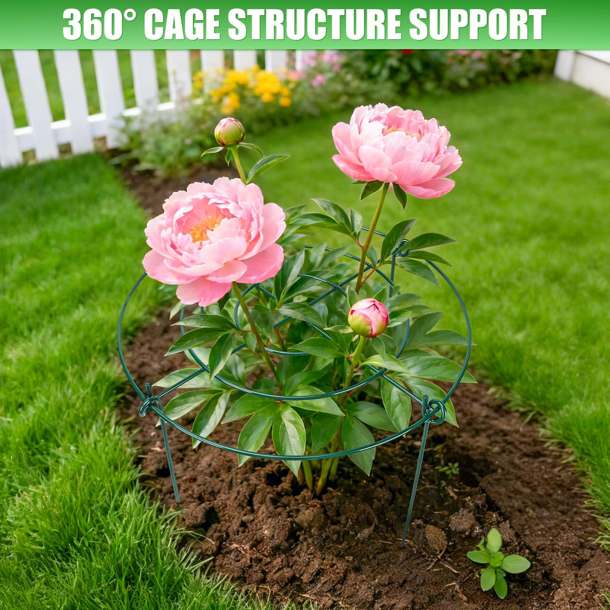 8 Pack Peony Cages and Supports, 11.5 x 20 Inch Plant Support Cage Set