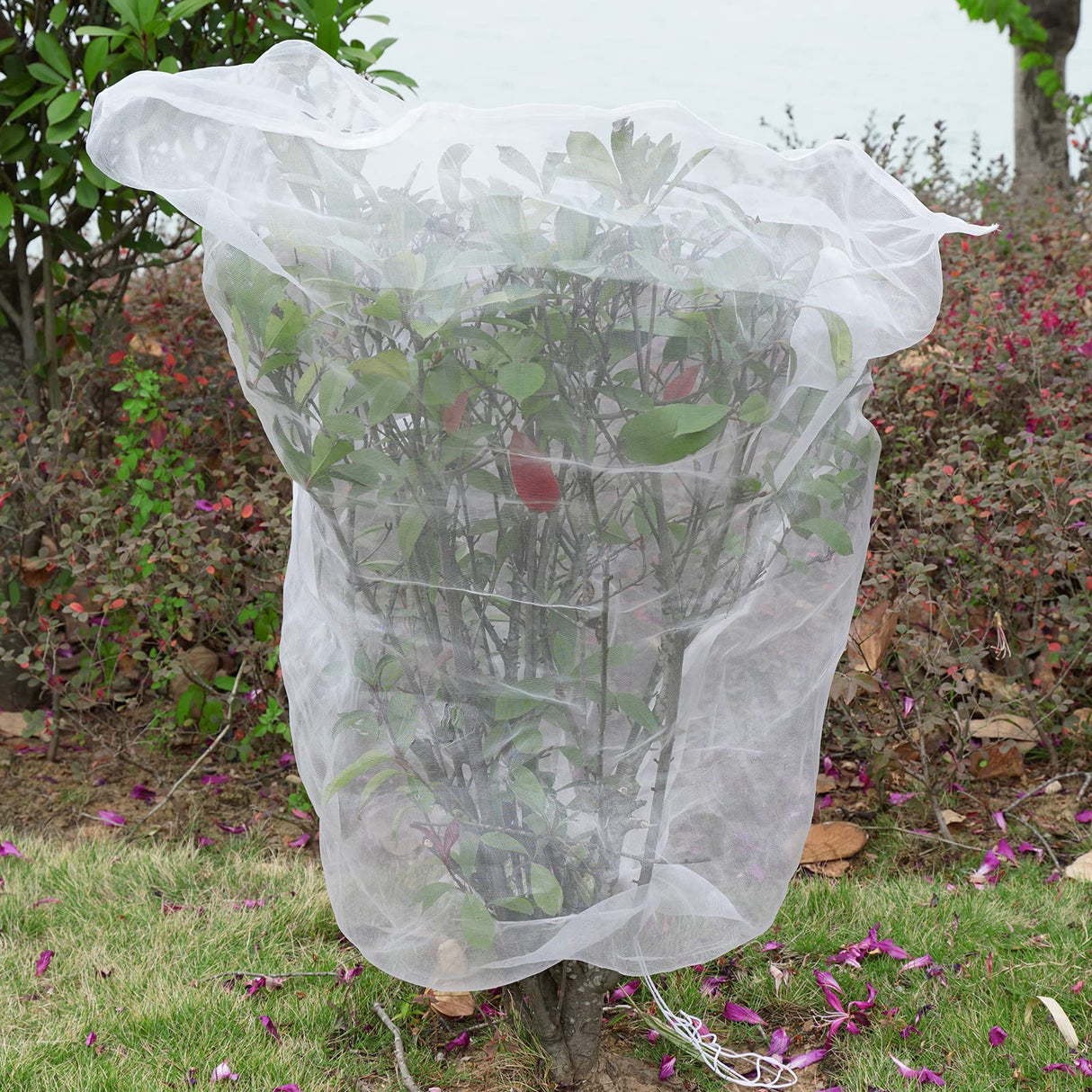 Mesh Plant Cover 3PCS,Garden Netting Mesh Outdoor,Netting for Tomato Plants,Garden Bug Netting Plant Cover,Bird Netting for Garden,Fruit Tree Netting (3.2 x 4.9 ft)