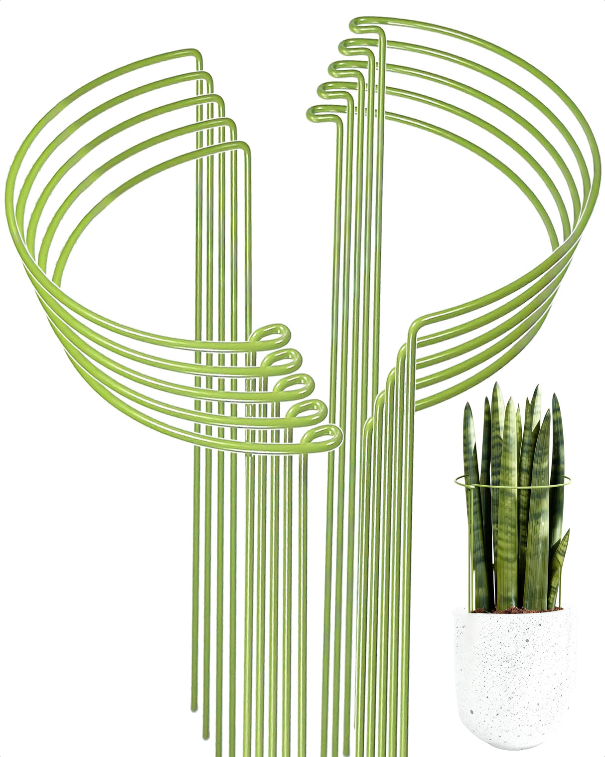 10-Pack Plant Support Stakes, Heavy Duty Steel Plant Stakes as Monstera Plant Support & Peony Cages, Metal Garden Stakes for Indoor Outdoor Plants, Snake Plant & Vine Support, 10" W x 15.8" H