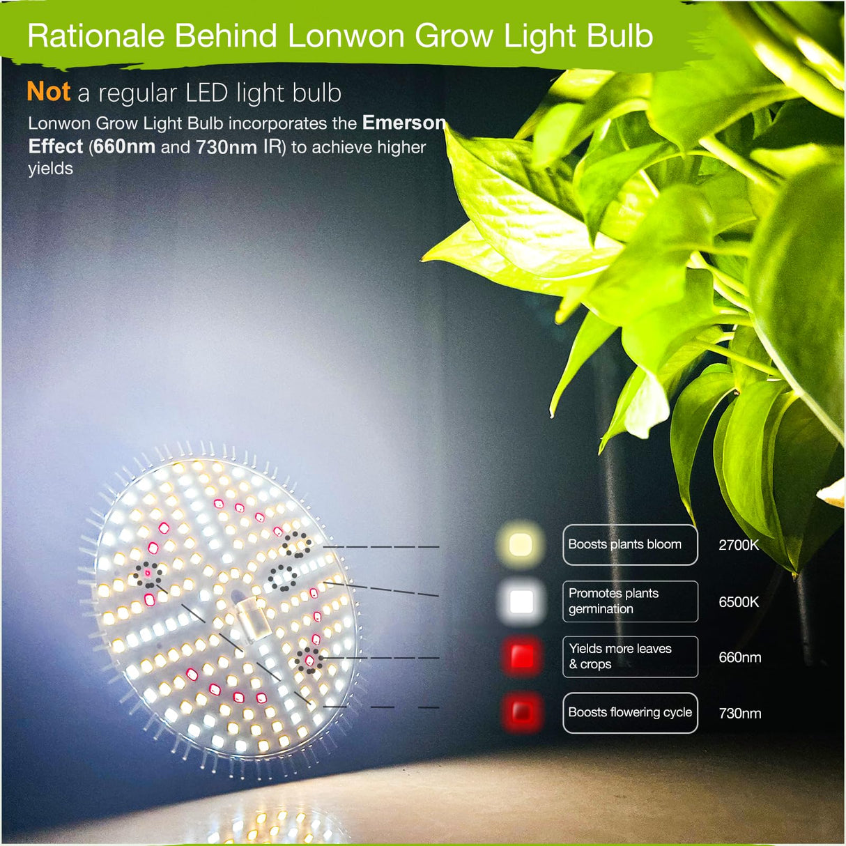 Lonwon Grow Light Bulbs for Indoor Plants, Plant Light Bulbs for Indoor Growing, Full Spectrum E26 LED Grow Bulb with 30W (320W Equivalent) 4000K Warm White, 1-Pack