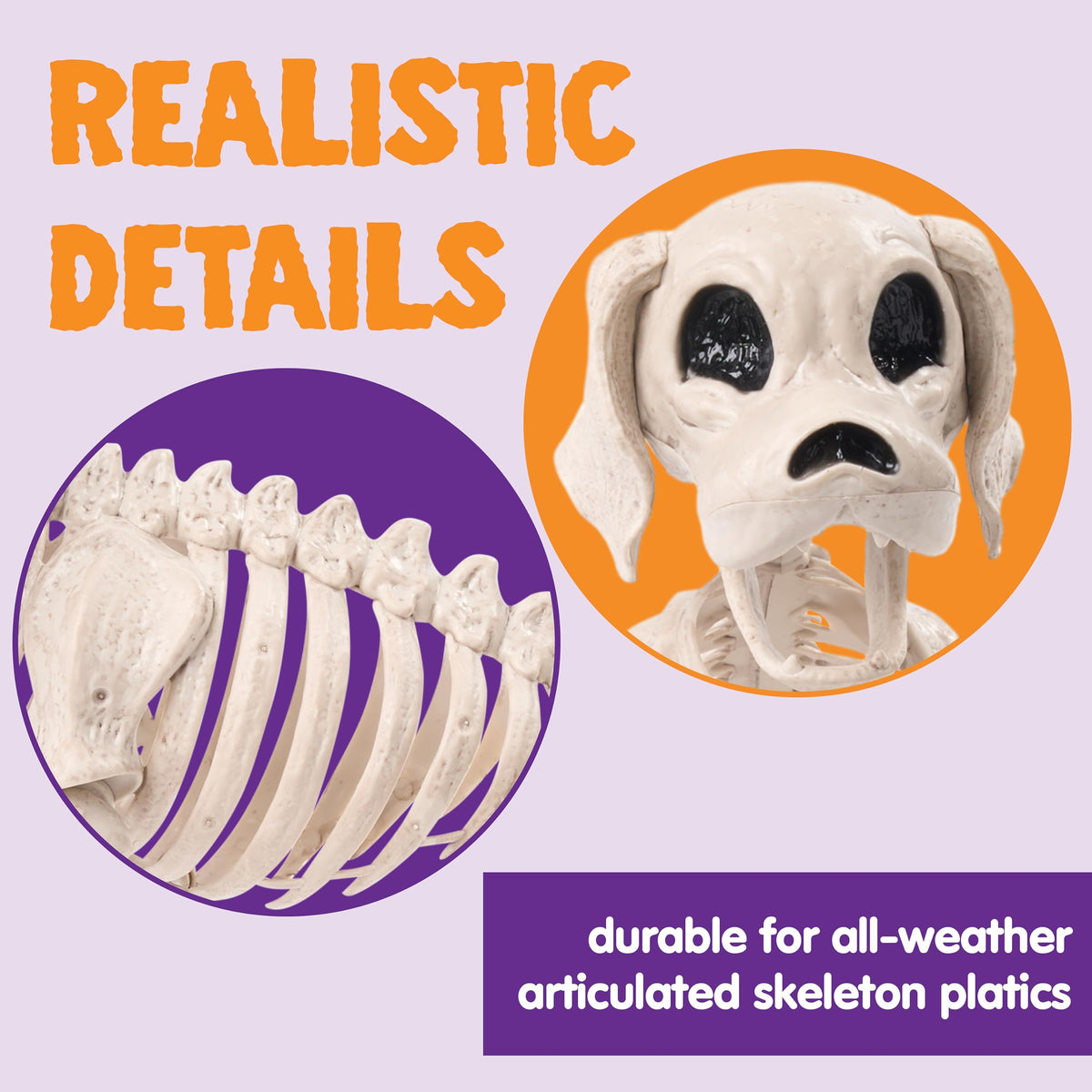 JOYIN Posable Halloween Dog Skeleton Full Body Posable Joints Realistic Skeleton Puppy with Movable Joints for Halloween Decoration, Graveyard Party Decor (9.8” X 4.7” X 12.6”)