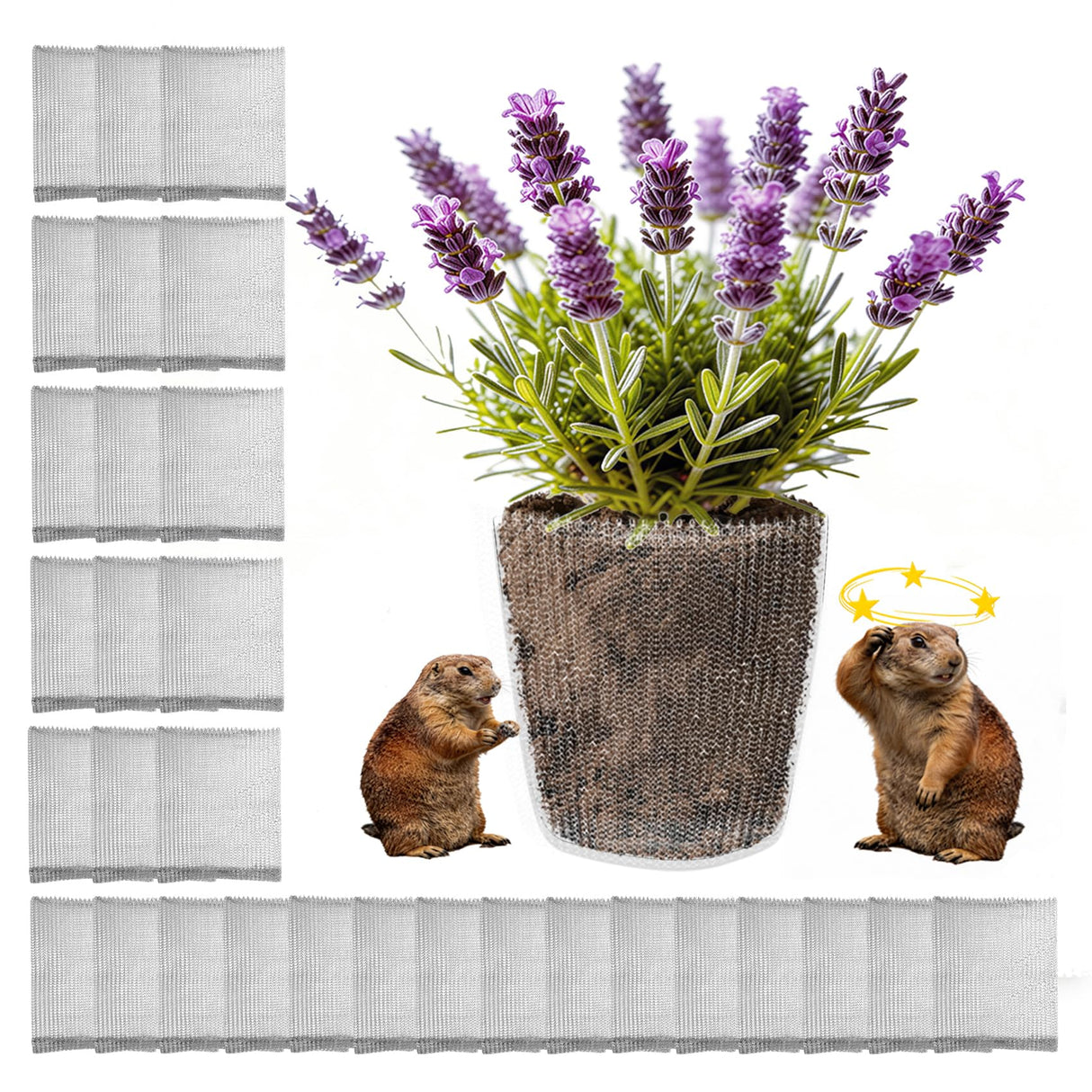50 Pack 1 Gallon Gopher Baskets, Stainless Steel Root Protector Cages