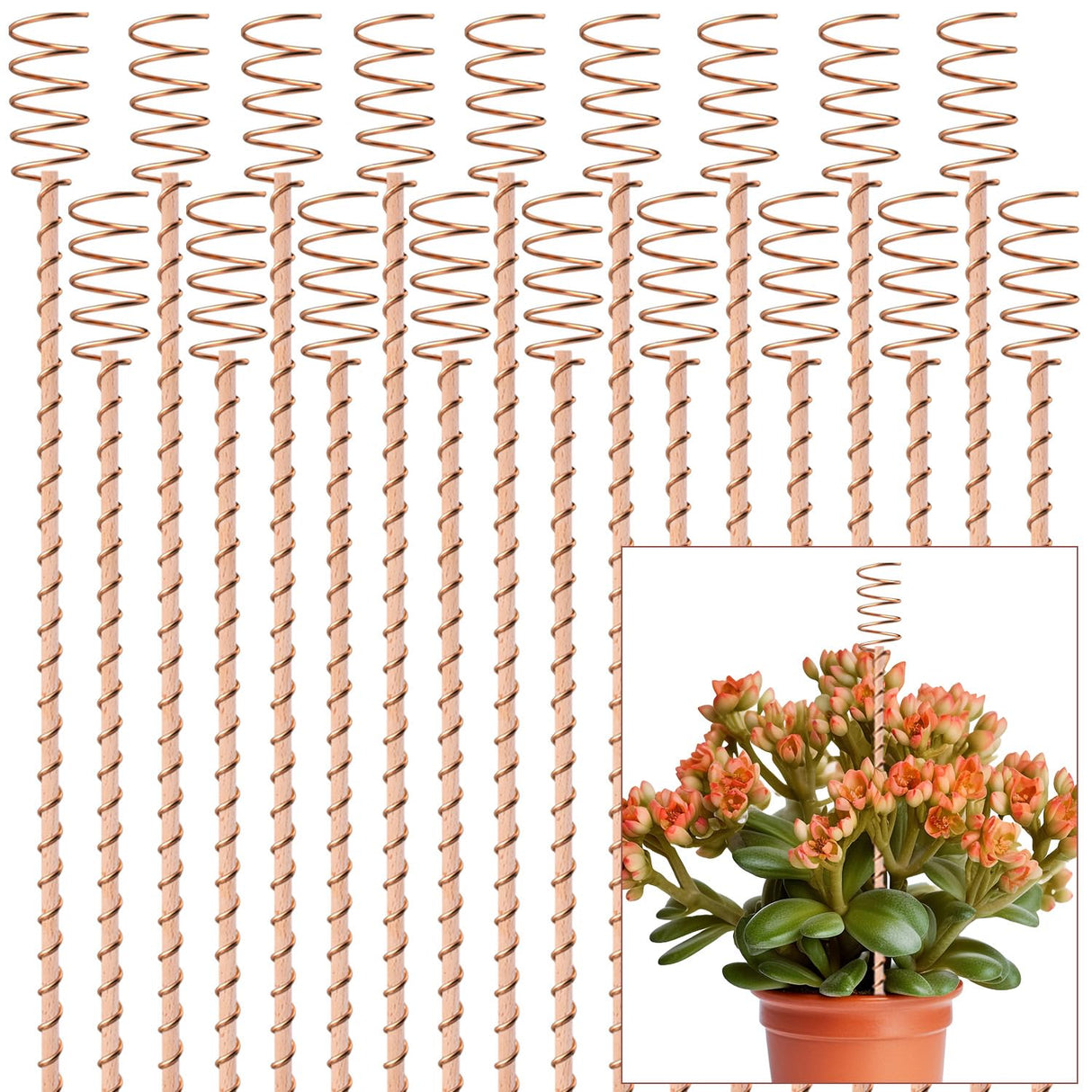 18Pack 17" Electroculture Plant Stakes, Long Electro-Culture Electroculture Copper Gardening Antenna, Garden Copper Stakes for Plants Fruits Vegetables Growth, Eco-Friendly & High-Yield
