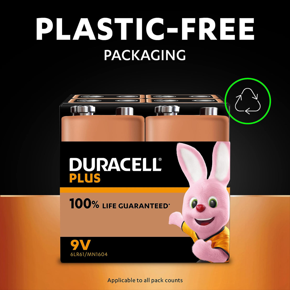 Duracell - Batteries 9 V Plus, Pack of 2, 6LR61 MX1604, Black, Lot de 2