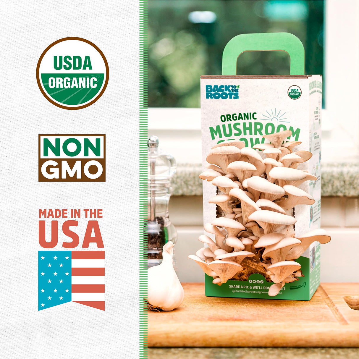 Back to the Roots Organic Oyster Mushroom Grow Kit, Harvest Gourmet Mushrooms In 10 Days