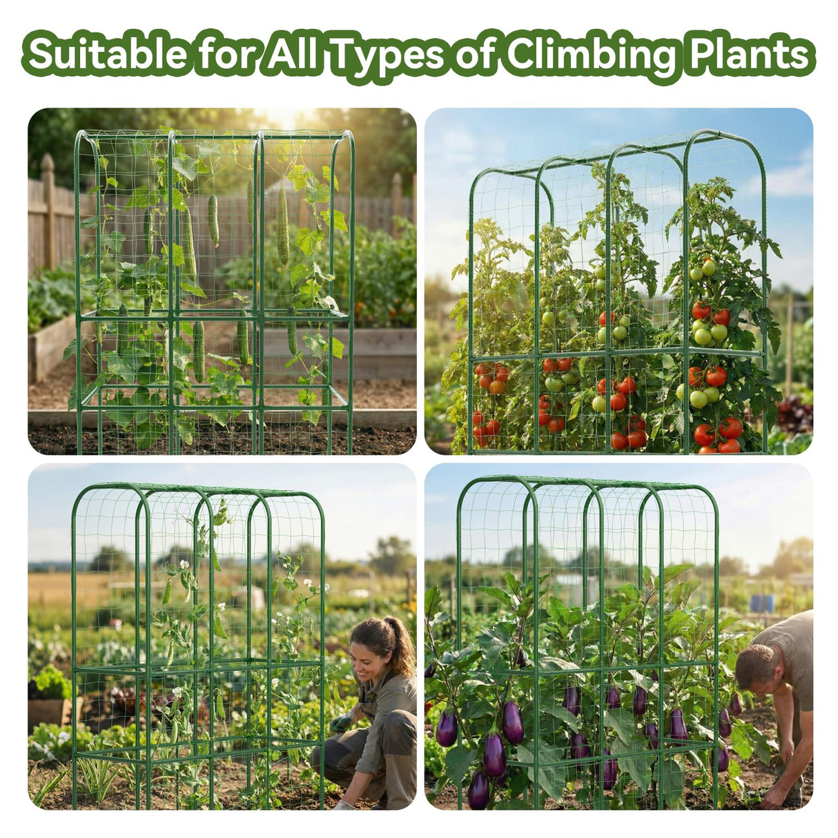 62" Tall Cucumber Trellis for Raised Bed, Garden Trellis for Climbing Plants Outdoor, U-Shape Metal Arch Vegetables Trellis Plant Support for Zucchini Squash Vines