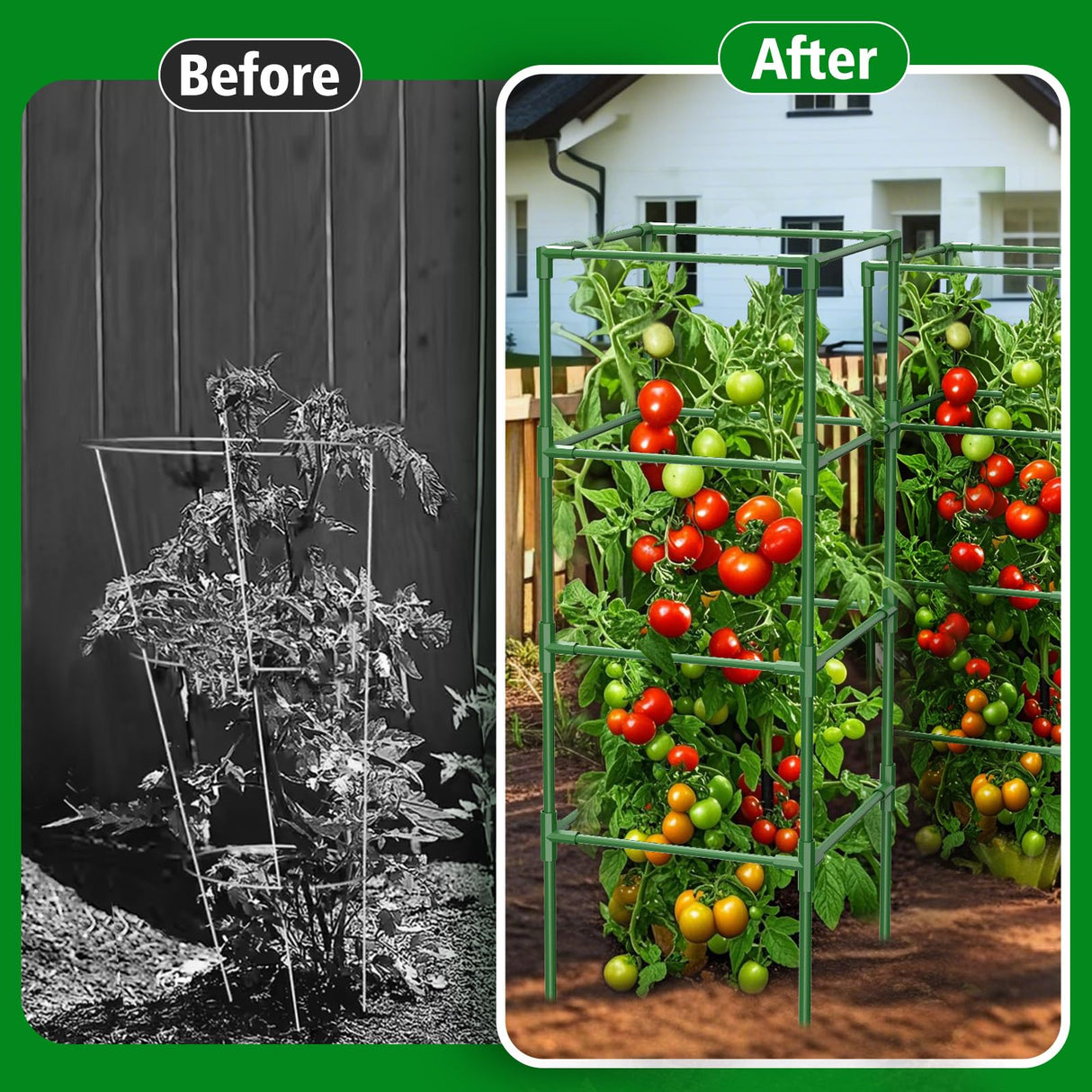 SHCCPPJ 3 Pack Tomato Cages, 42 Inch Heavy Duty Metal Square Tomato Cage for Raised Garden Bed, Rust-Proof Sturdy Tall Tomato Trellis Supports for Climbing Plants Outdoor with Clips Wire