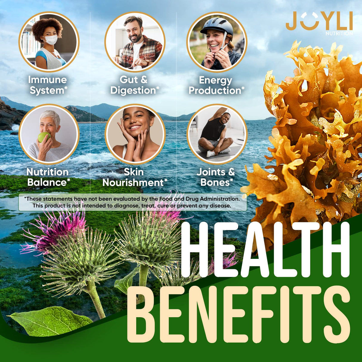 JOYLI Nutrition 2 Pack - Sea Moss Gummies for Adults & Kids – Vegan Irish Sea Moss Supplement with Bladderwrack & Burdock Root – Sugar-Free Immune Support Supplements - 60 Gummy Bears per Pack