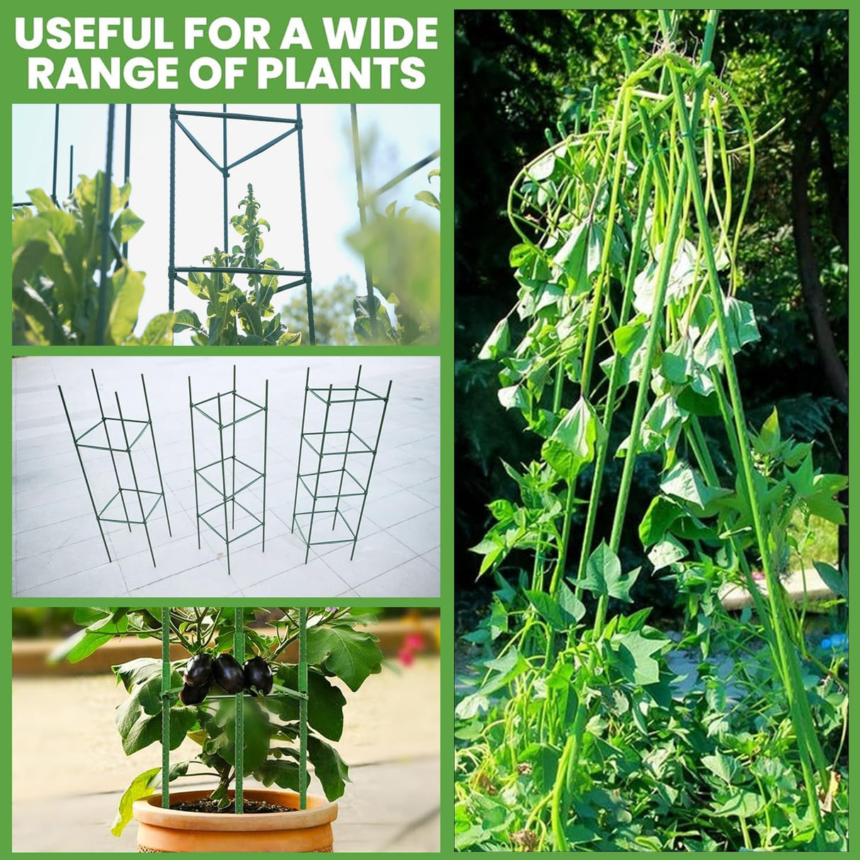 6 Pack Tomato Cage for Garden, 48 Inches Metal Garden Stakes, Plant Support Cages Trellis for Garden and Pots, Tomato Trellis for Potted Plants, Trellis for Climbing Plants Outdoor,Green