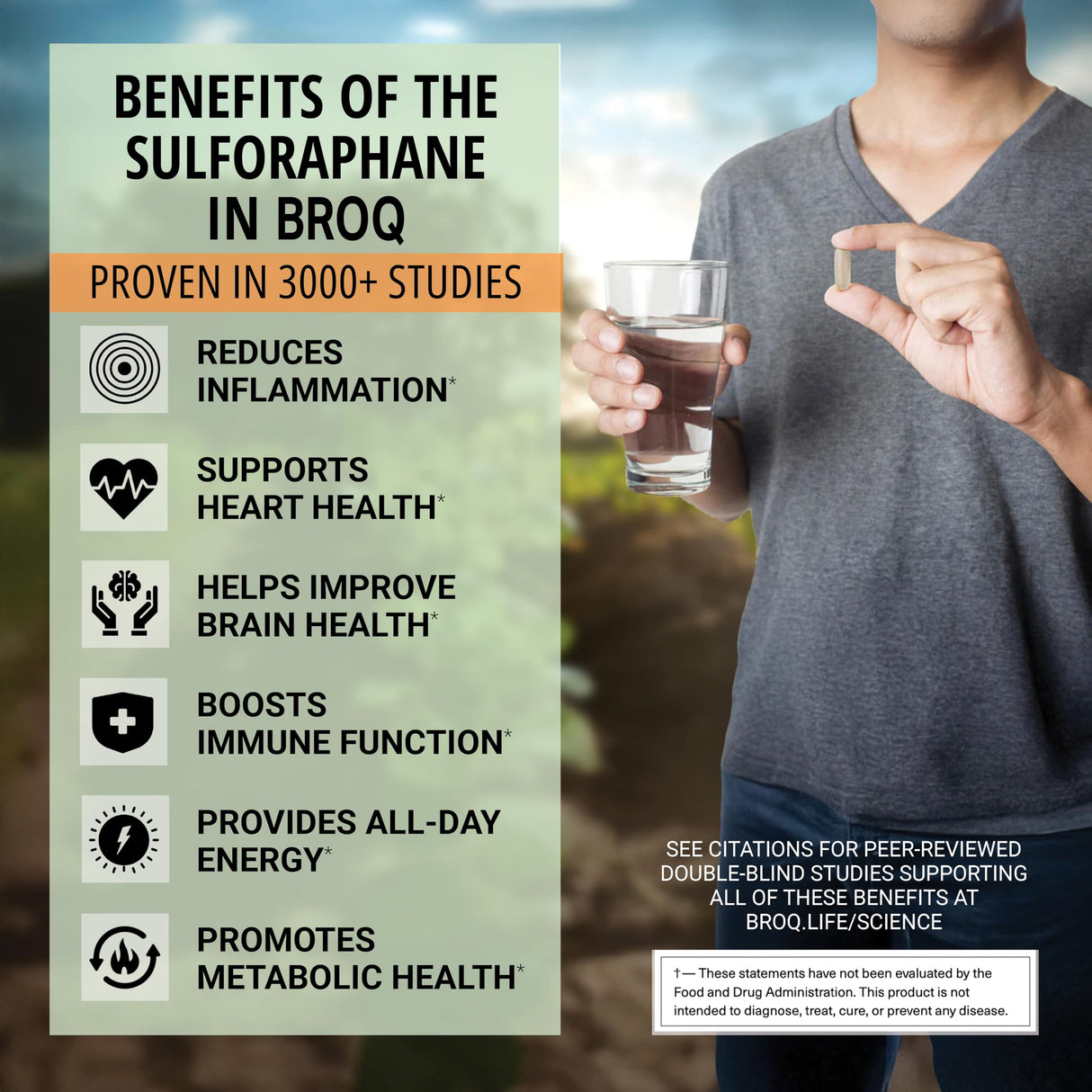 BROQ - The Gold Standard of Sulforaphane Supplements - More Sulforaphane Than Any Other Product - See Independent Lab Tests - Powerful NRF2 Activator with Glucoraphanin and Myrosinase
