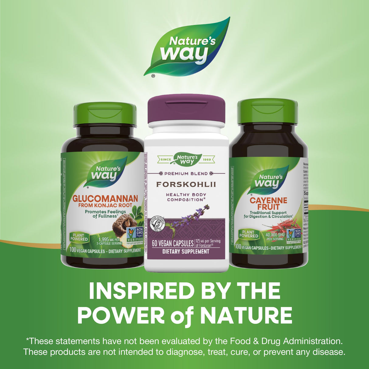 Nature's Way Forskohlii Standardized to Forskolin, Supports Healthy Body Composition*, 60 Vegan Capsules