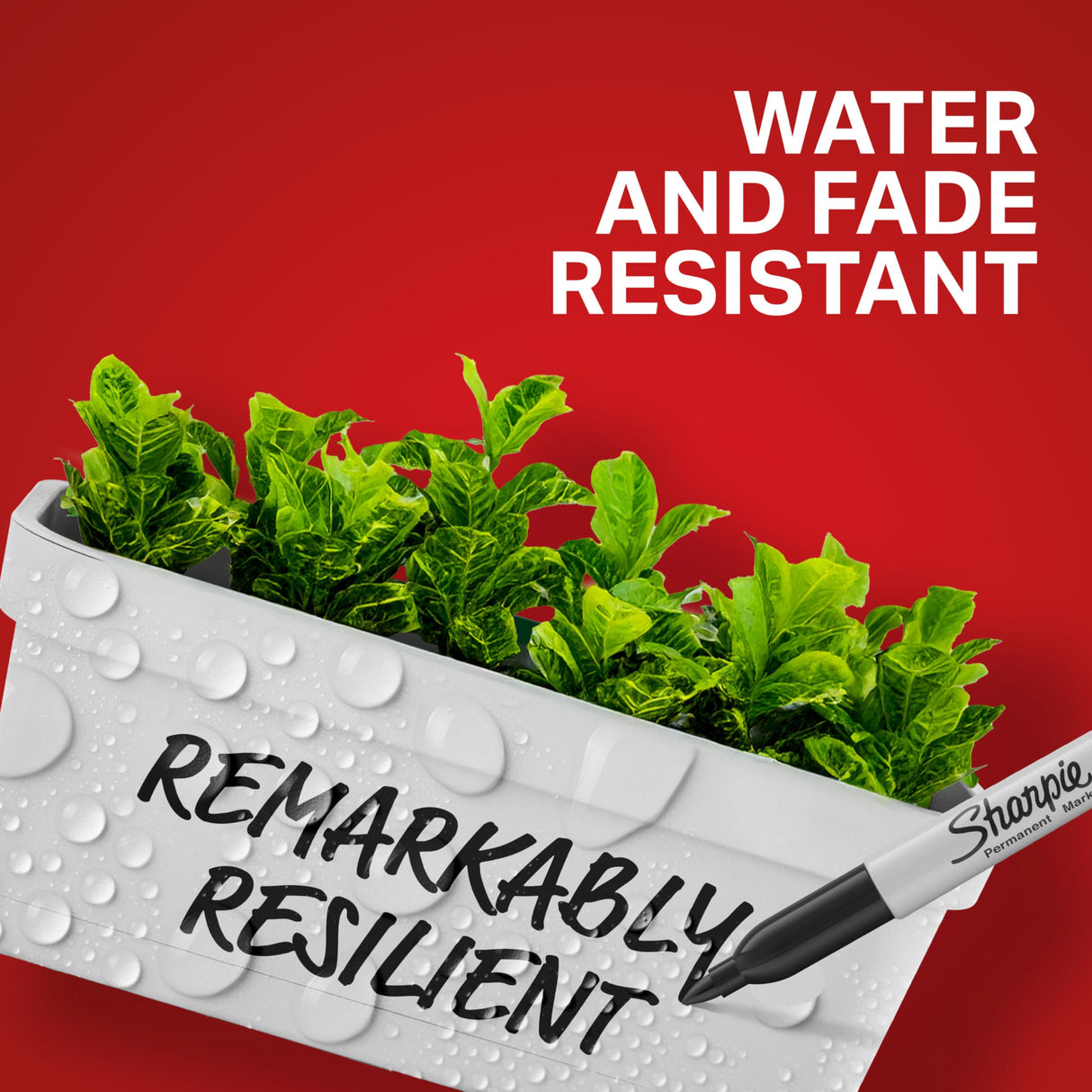 Sharpie Permanent Markers, Fine Point, Black, 40 Count