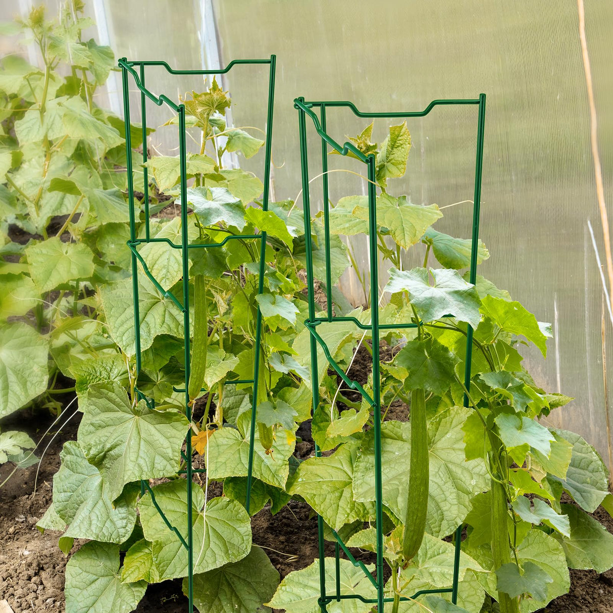 ComfyKit 2 Pack 32 Inch Stacking Tomato Ladders, V-Shape Garden Trellis