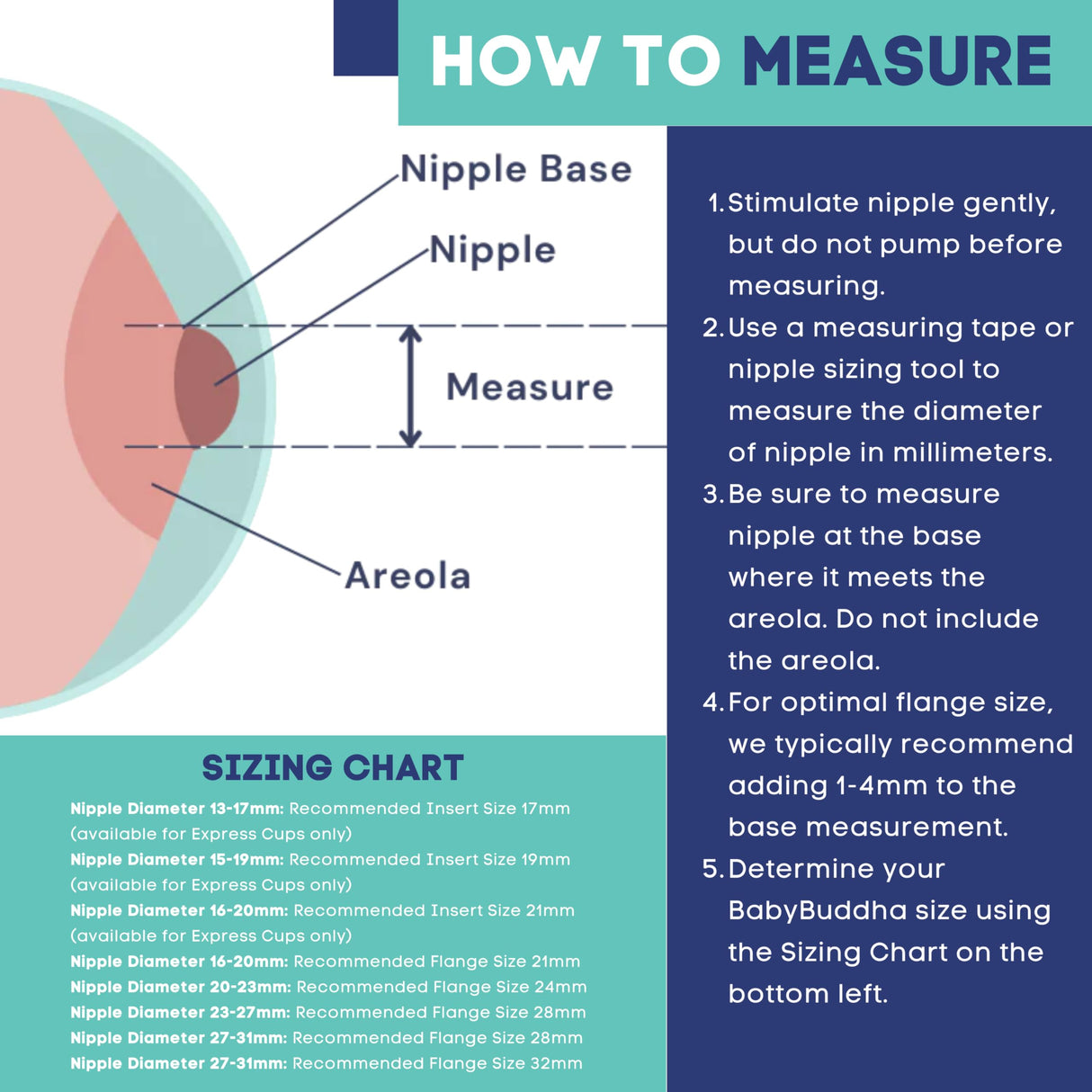 BabyBuddha Hands Free Milk Collection Cups for Breast Pump, 8 Fl Oz per Cup, Milk Containers, Compatible with BabyBuddha Breast Pump, Wearable Cups, Small, 2 Pack (22 to 24mm)