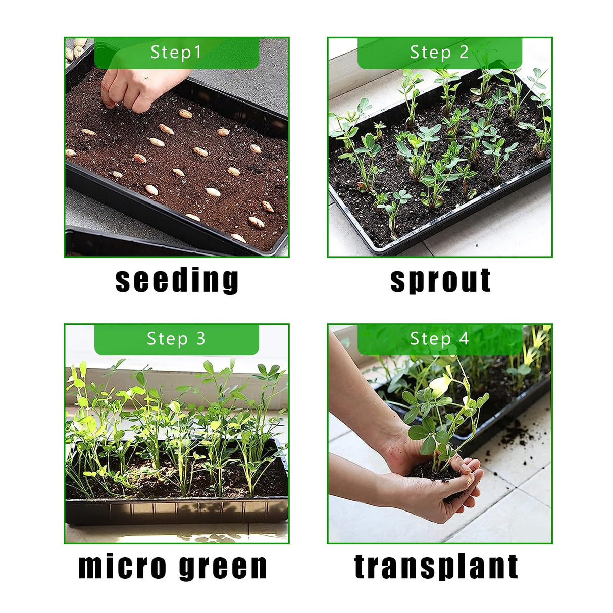 RooTrimmer Plant Growing Nursery, Standard 1020 Trays Plastic Sturdy Farmer Self Seedling Tray for Microgreens Indoor Nursery Pots Transplantation (5-Pack, 21.6"Ć11.2", 2.52" Deep, no Holes)