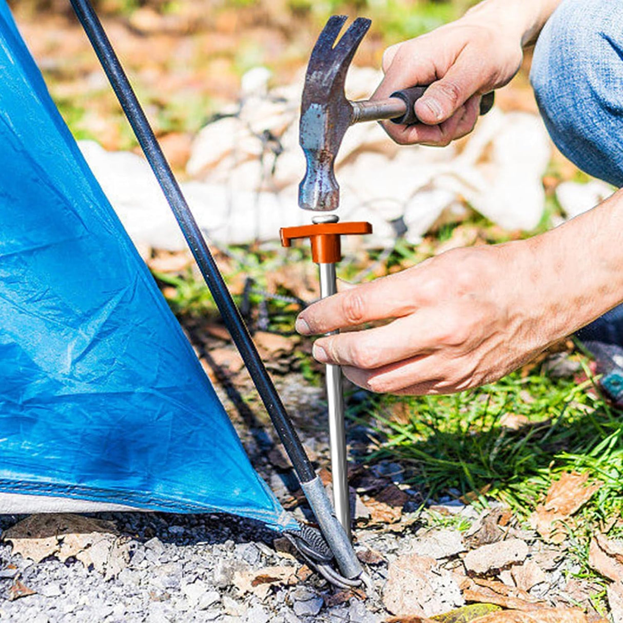 Eurmax USA 20-Pack Secure Protection Galvanized Tent Stakes,Rust-Proof Steel Canopy Anchors for High Winds,Heavy Duty Commercial Ground Pegs for Camping,Pop Up Tents&Gazebos - Includes 4x10ft Ropes