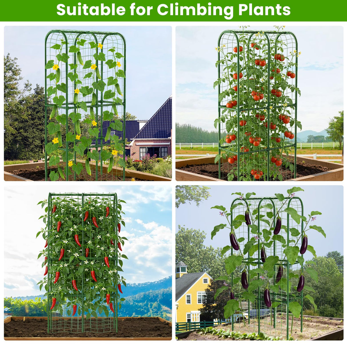 62in Tall Cucumber Trellis for Raised Bed, 34" L x 62" H Metal Garden Trellis for Climbing Plants Outdoor, U-Shape Vegetables Trellis Support for Squash Zucchini Peas Grape