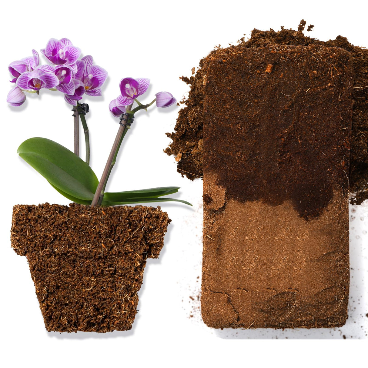 ZENFUN 12 Packs 17 lb Coco Coir Organic Brick for Plants, 100% Natural Coconut Coir Pith, Compressed Coco Bricks, Coco Fiber for Soilless Gardening, High Nutrition Coconut Soil Coco Fiber
