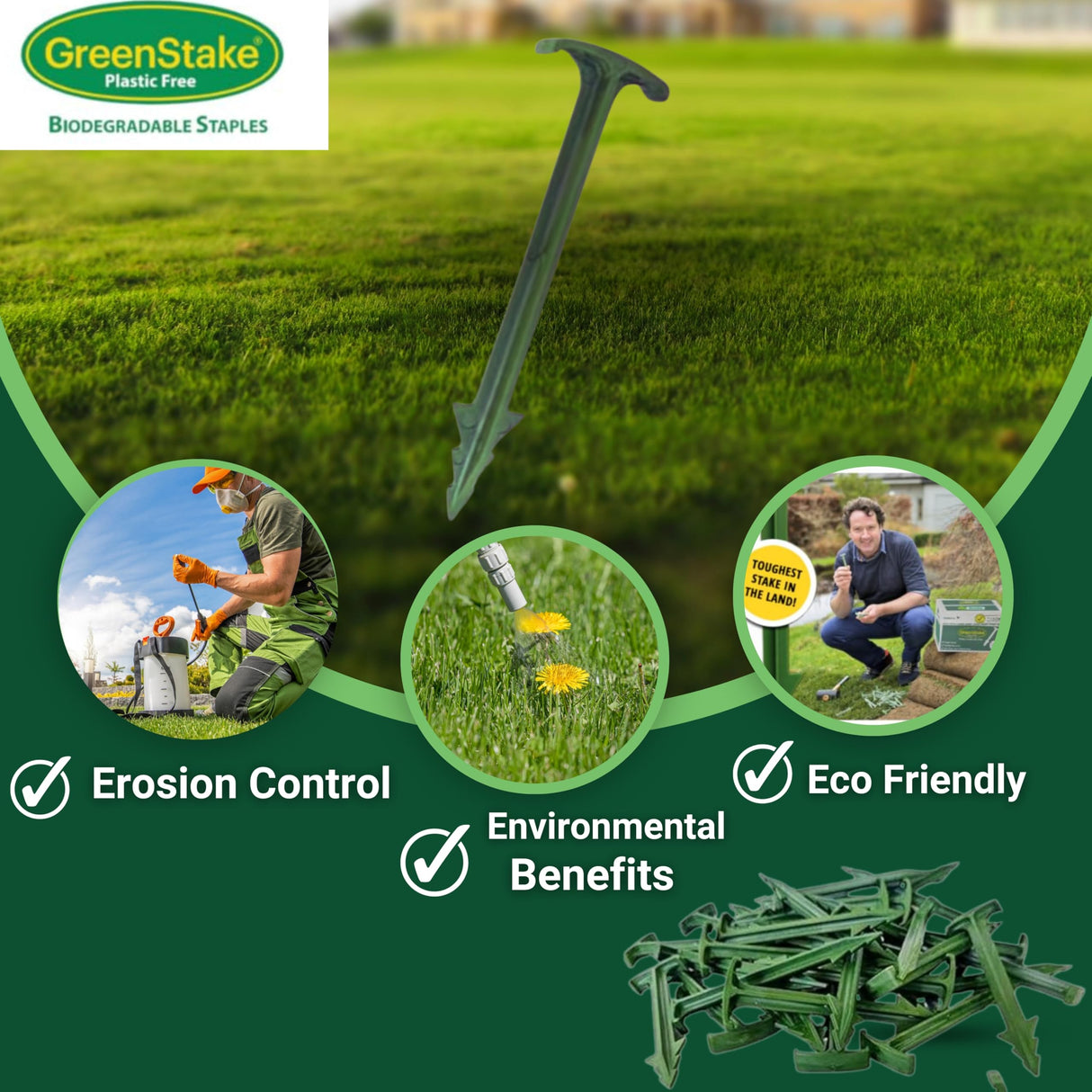 100 ct. Contractor Grade 4-Inch Biodegradable Stakes - Eco-Friendly Sod Staples for Weed Fabric, Landscape Staples & Landscape Fabric, Netting, Gardening and Blanket