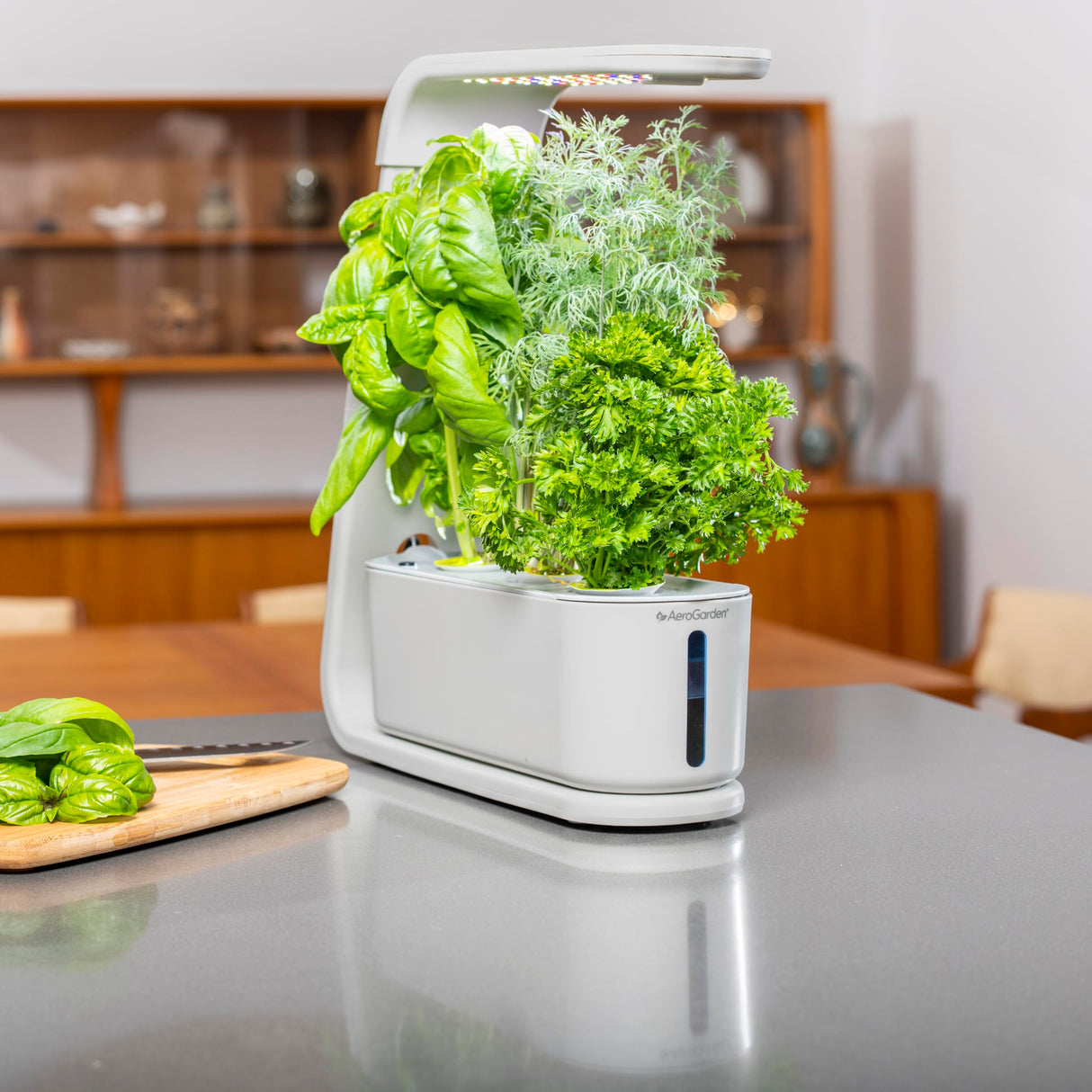 AeroGarden Sprout, Cool Gray
