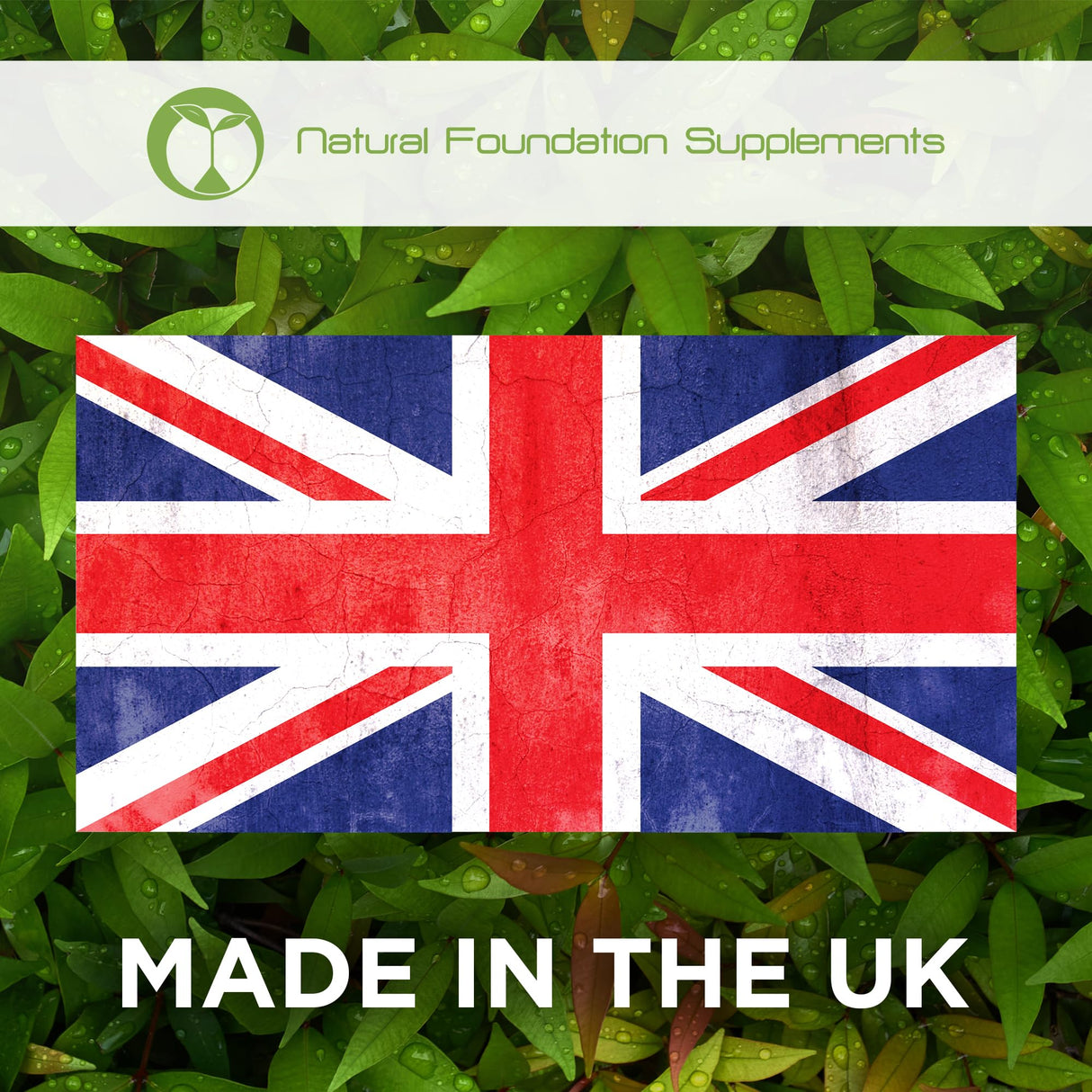 Fadogia Agrestis Extract | 90 High Strength 400mg Capsules | Sports Supplement for Men | Supports Muscle Mass, Strength & Recovery (90)