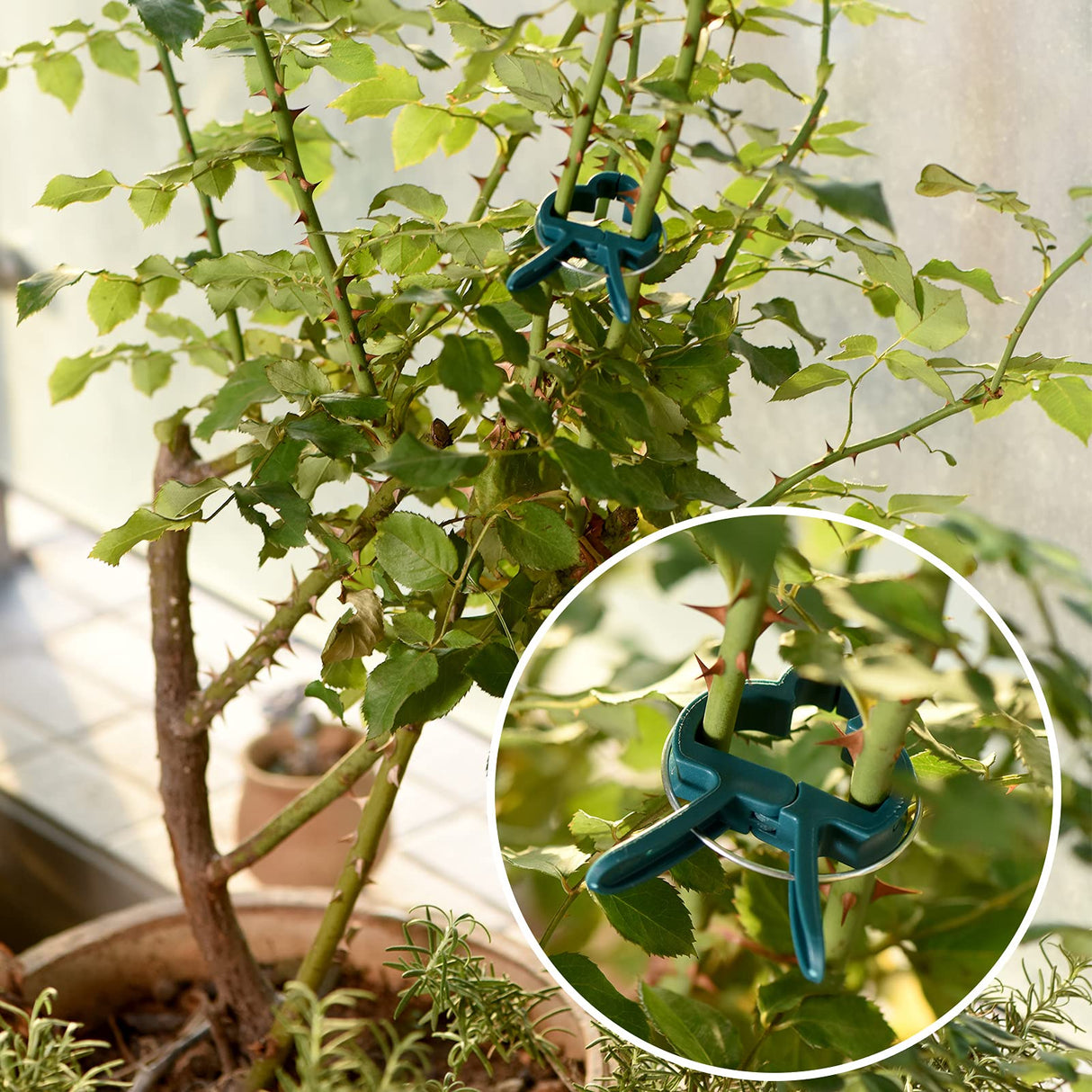 PERSZEN Plant Support Clips, 120 PCS Gentle Flower Plant Clamps for Supporting Vine Climbing Plants, Gardening Lever Loop Gripper Clips Help Stems Vines Grow Straight Upright, 2 Sizes in one Pack