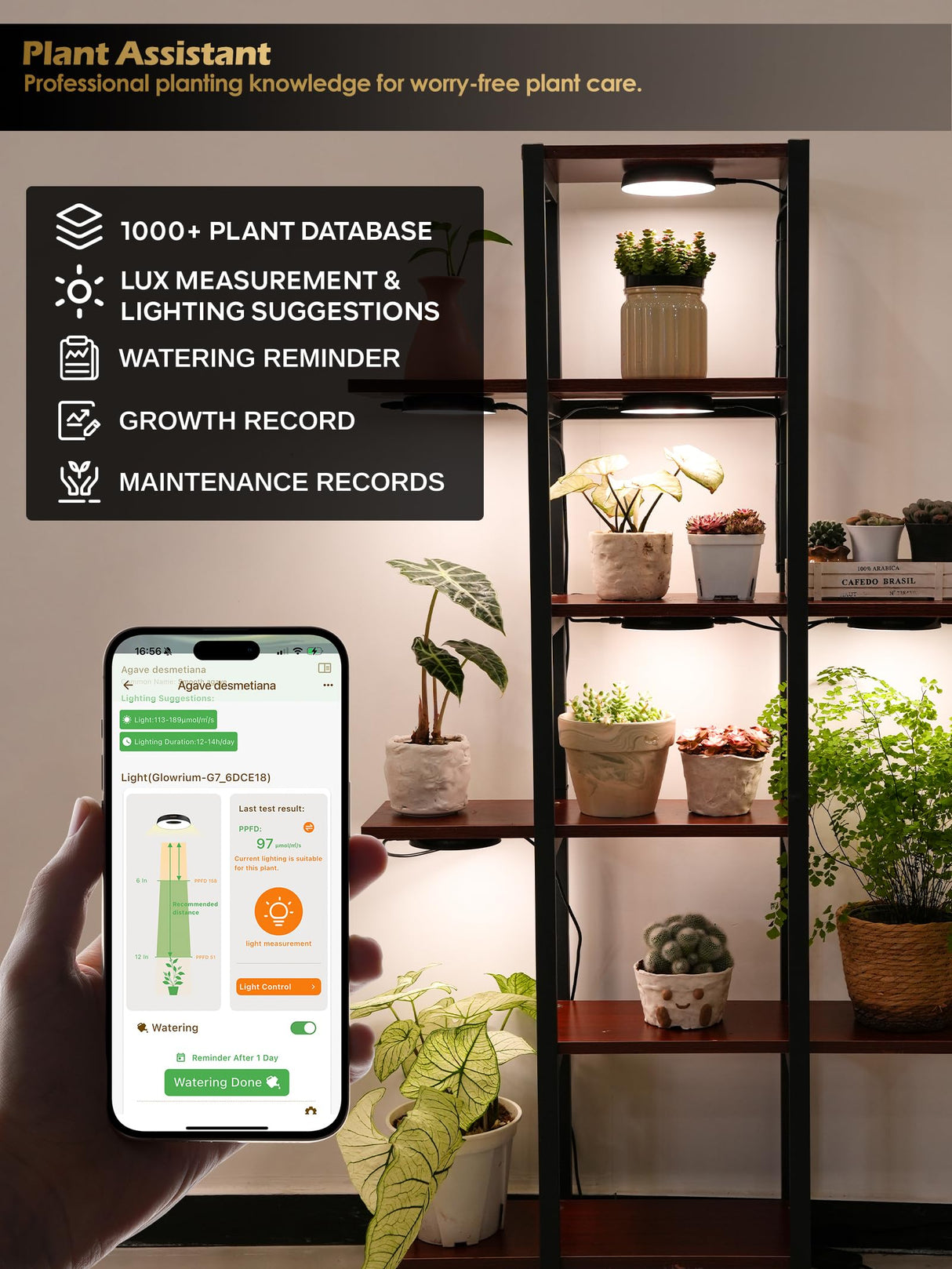 GLOWRIUM Grow Lights for Indoor Plants, 16W Smart Full Spectrum LED Grow Light, Auto Timer and Stepless Dimming,Plant Assistant with Watering Reminder,Modular Design (Black, 2 PCS)