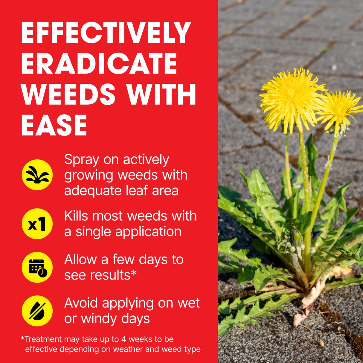 Doff Advanced Concentrated Weedkiller - 6 Sachets for Dilution in Water for Garden Protection – Kills Deep Rooted Weeds from Pathways to Driveways - Long Lasting Weed Control – Strong Weed Killer