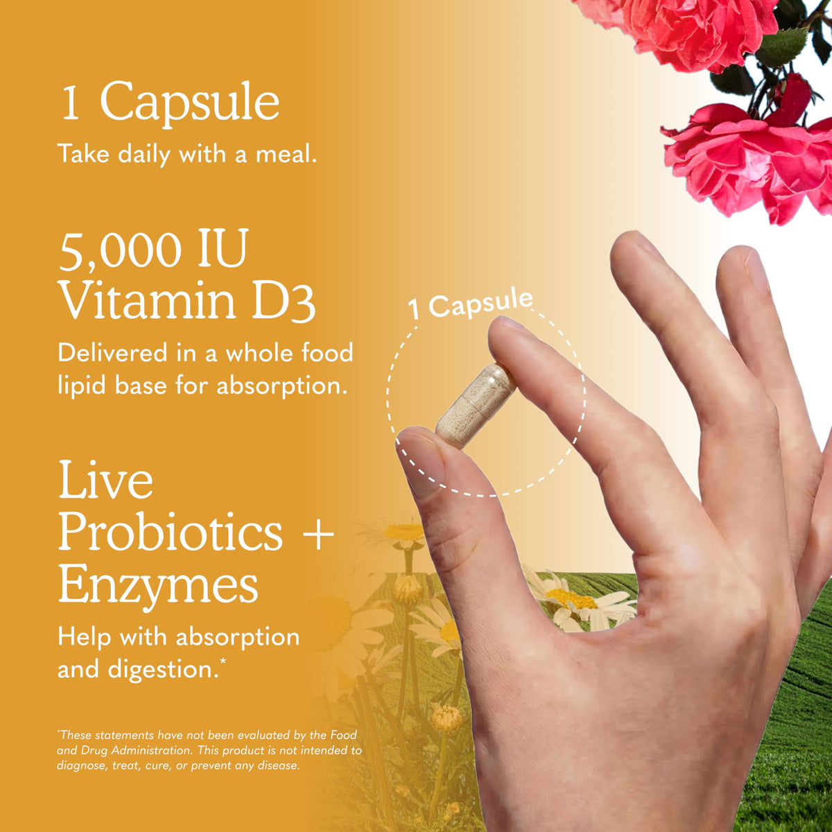 Garden of Life Vitamin Code Raw D3 5000 IU, 60 Vegetarian Capsules