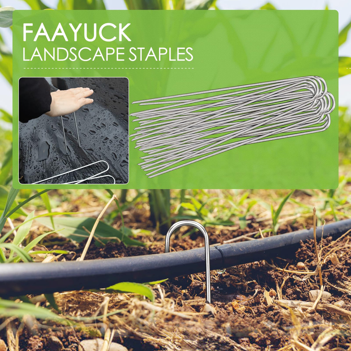 FAAYUCK 12 Inch Landscape Staples, 12/25/50/100 Pack Galvanized Garden Stakes, Heavy Duty 8 Gauge U-Shaped Ground Stakes for Weed Barrier Fabric, Irrigation Tubing, Fence, Outdoor Decorations