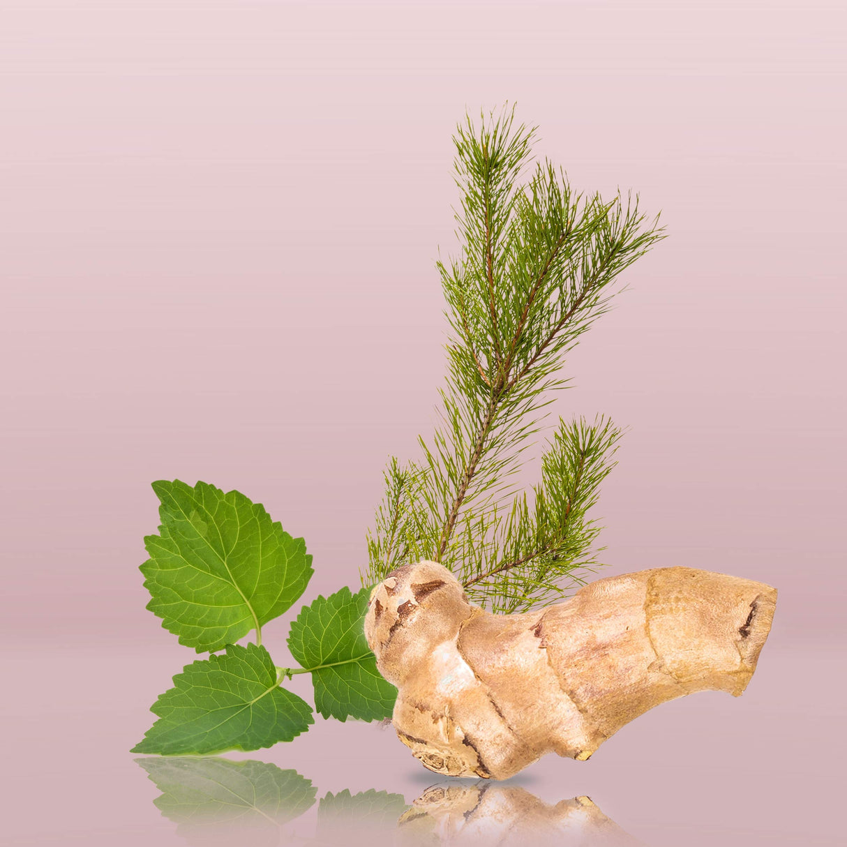 Calvin Klein Euphoria Eau de Toilette – Chypre Men's Cologne – With Notes of Ginger, Black Basil, Patchouli & Amber – Luxury Perfumes for Men – Long Lasting Fragrance