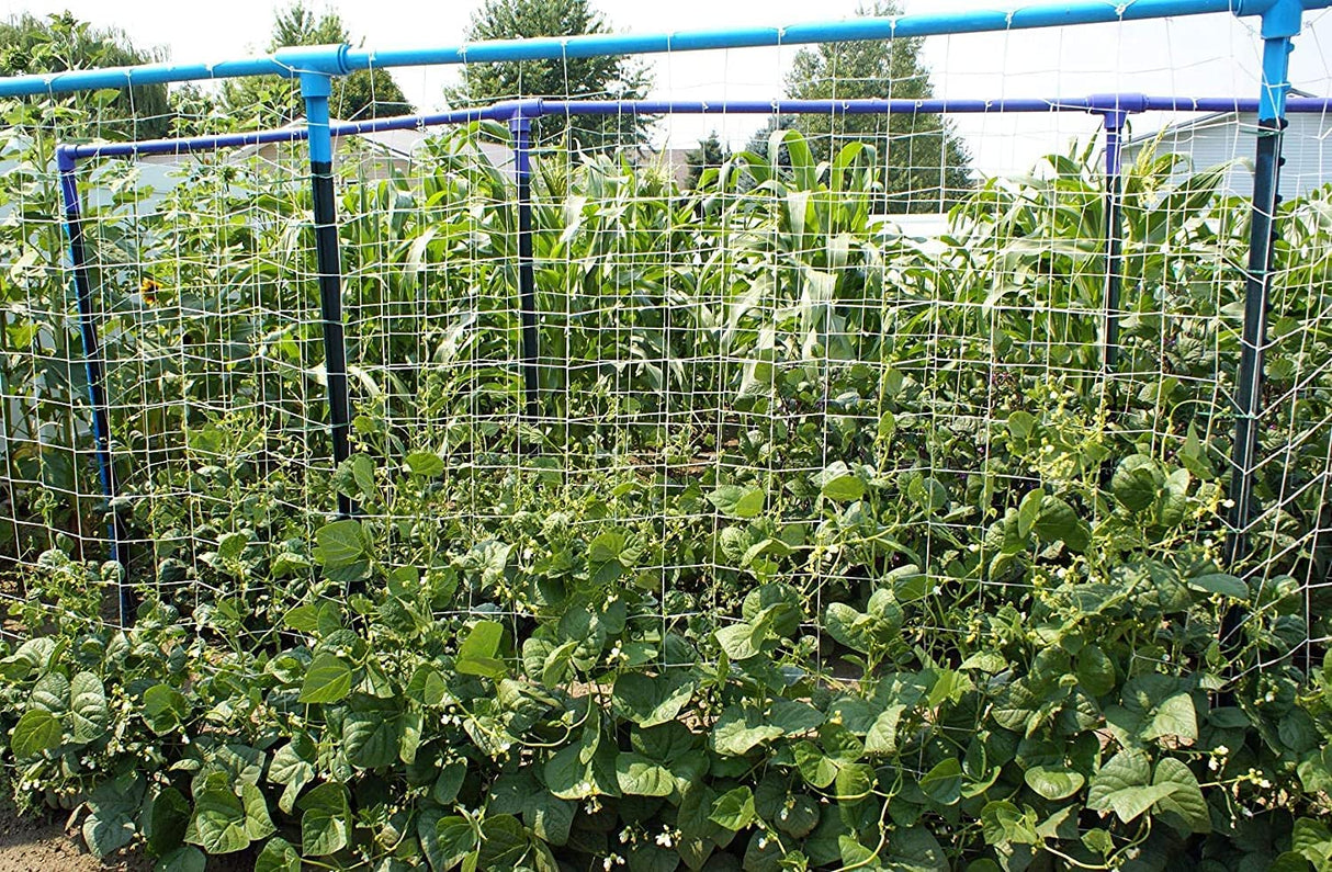 PullyBuy Soft Mesh Nylon Trellis Netting Roll - 5 x 350 ft Heavy Duty Garden Netting for Climbing Plants,Garden Melons Vegetables, Grape Racks, Hydroponic, 5x350ftnet