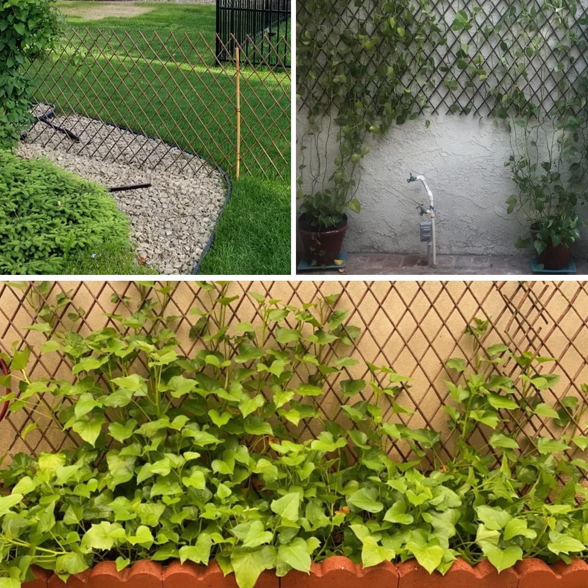 Helprise Expandable Willow Lattice Fence Panel Plant Support Garden Trellis Willow Trellis Fence for Climbing Plants Vine Ivy Rose Cucumbers Clematis Outdoors Garden Yard,36X92 Inch(2PC)